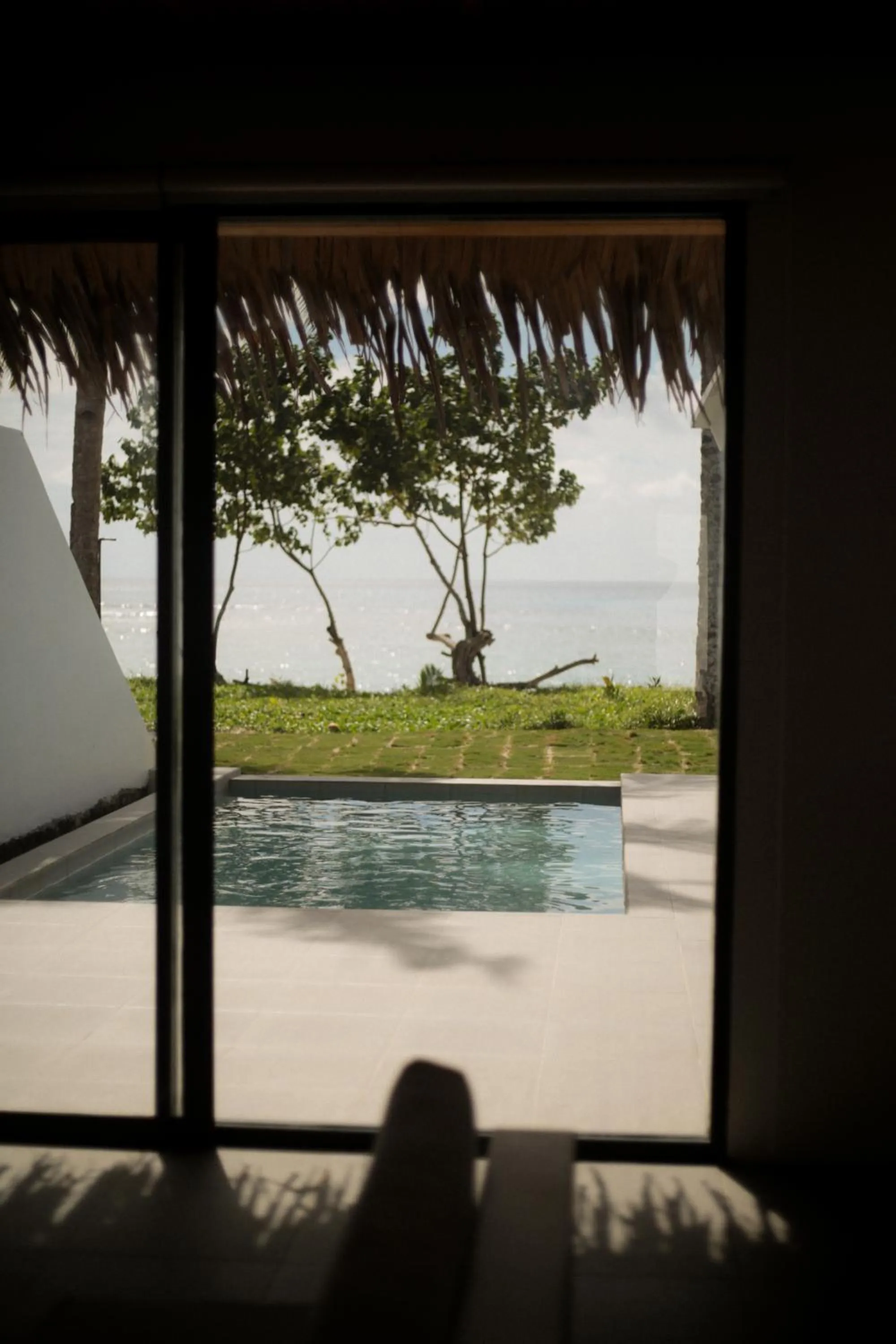 La Belle Hollow Trees