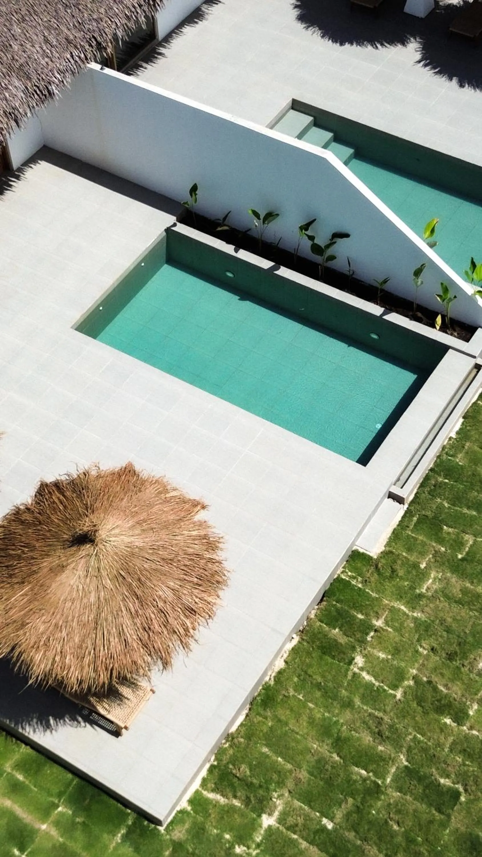 La Belle Hollow Trees