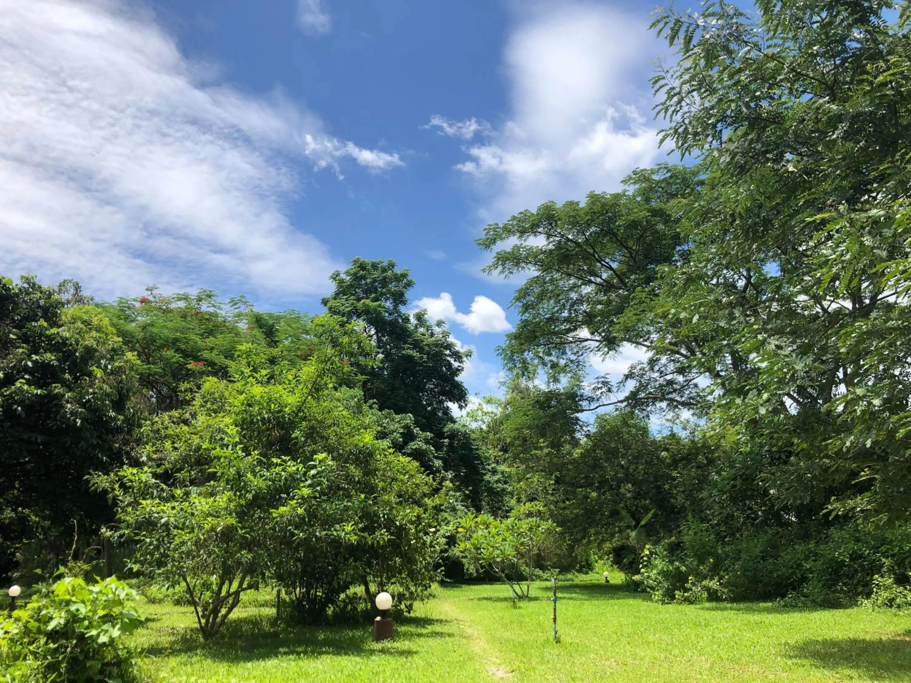 Natural landscape in resort hoshihana