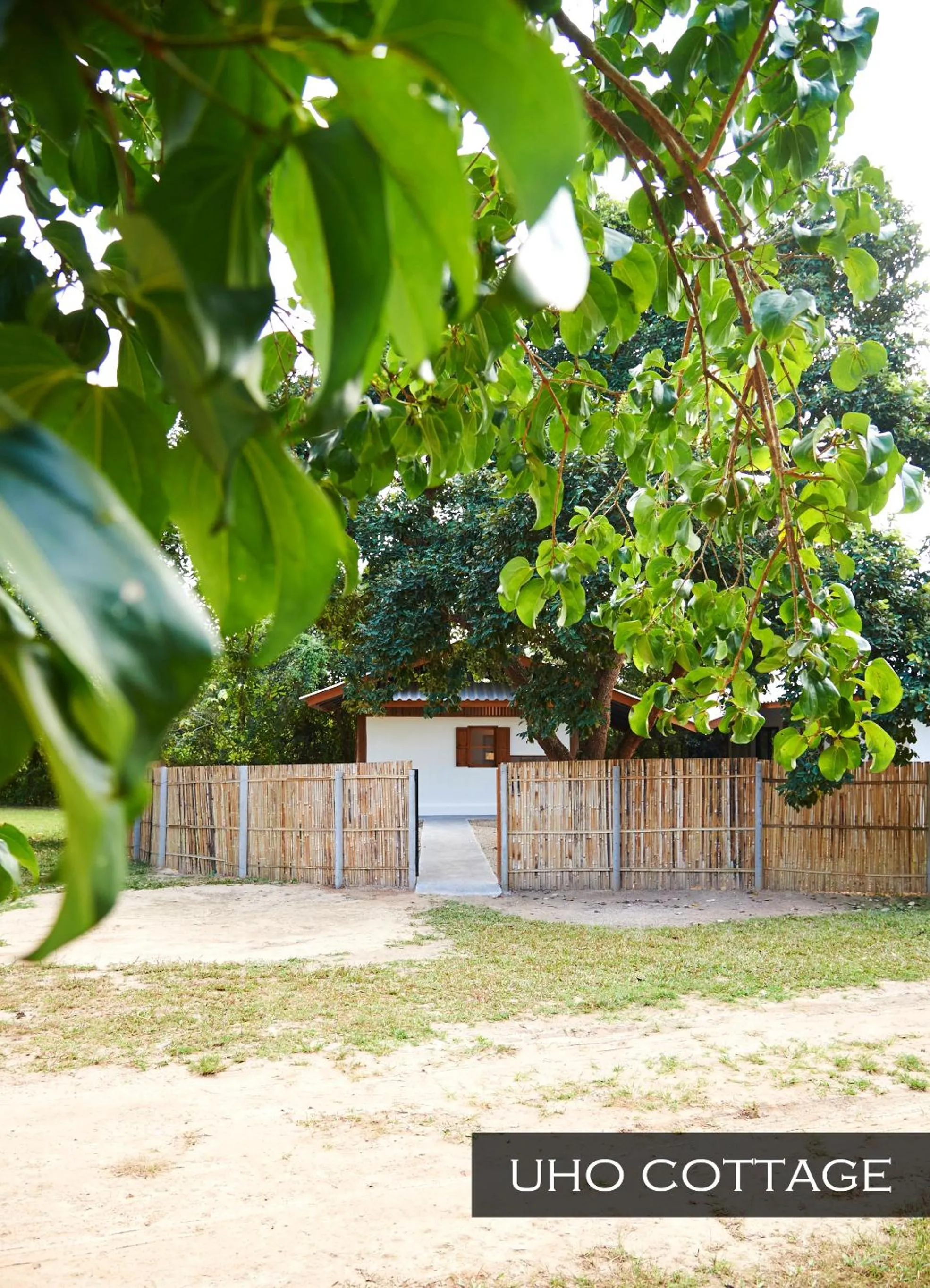 Property building in resort hoshihana