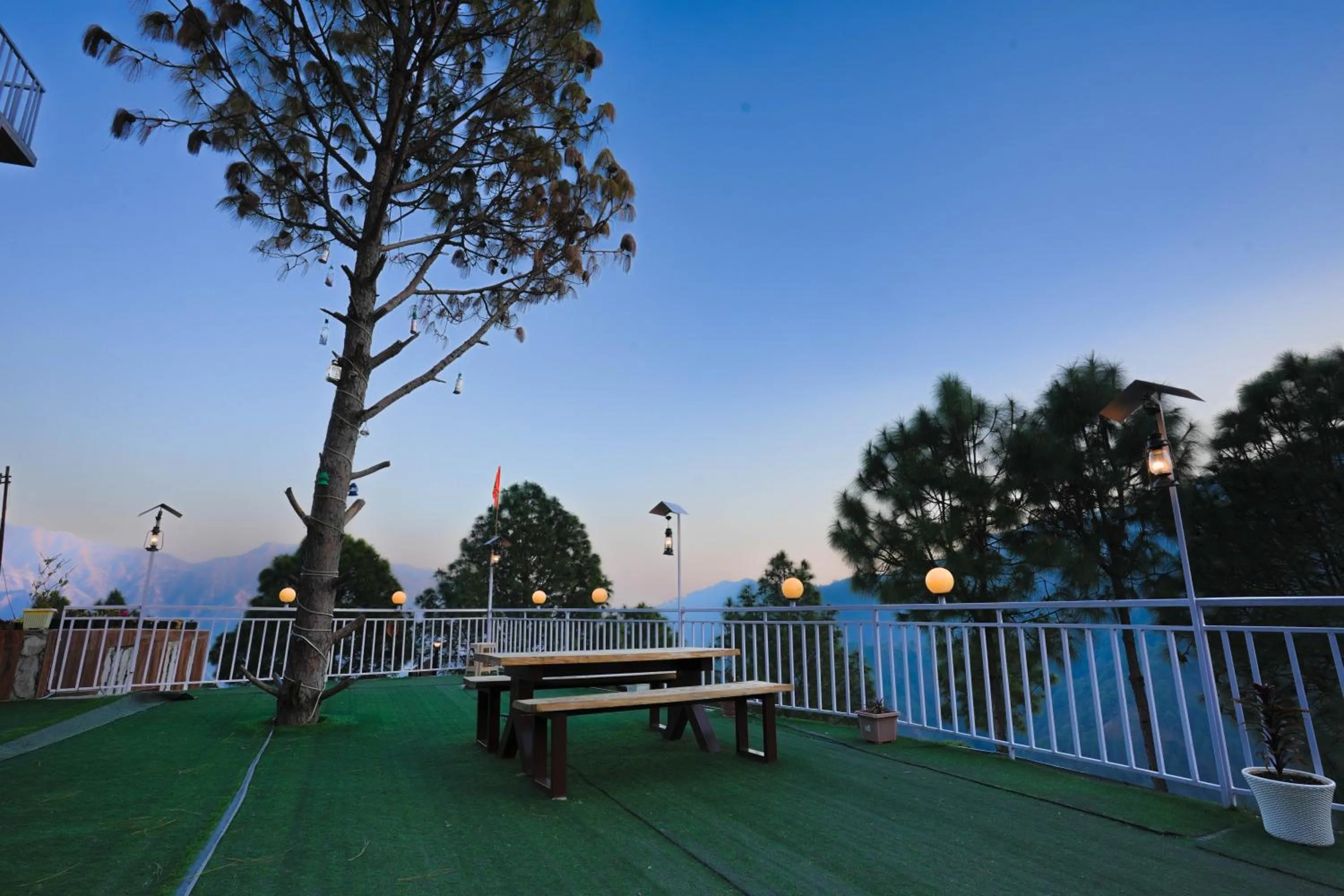 Garden in Hamilton palace