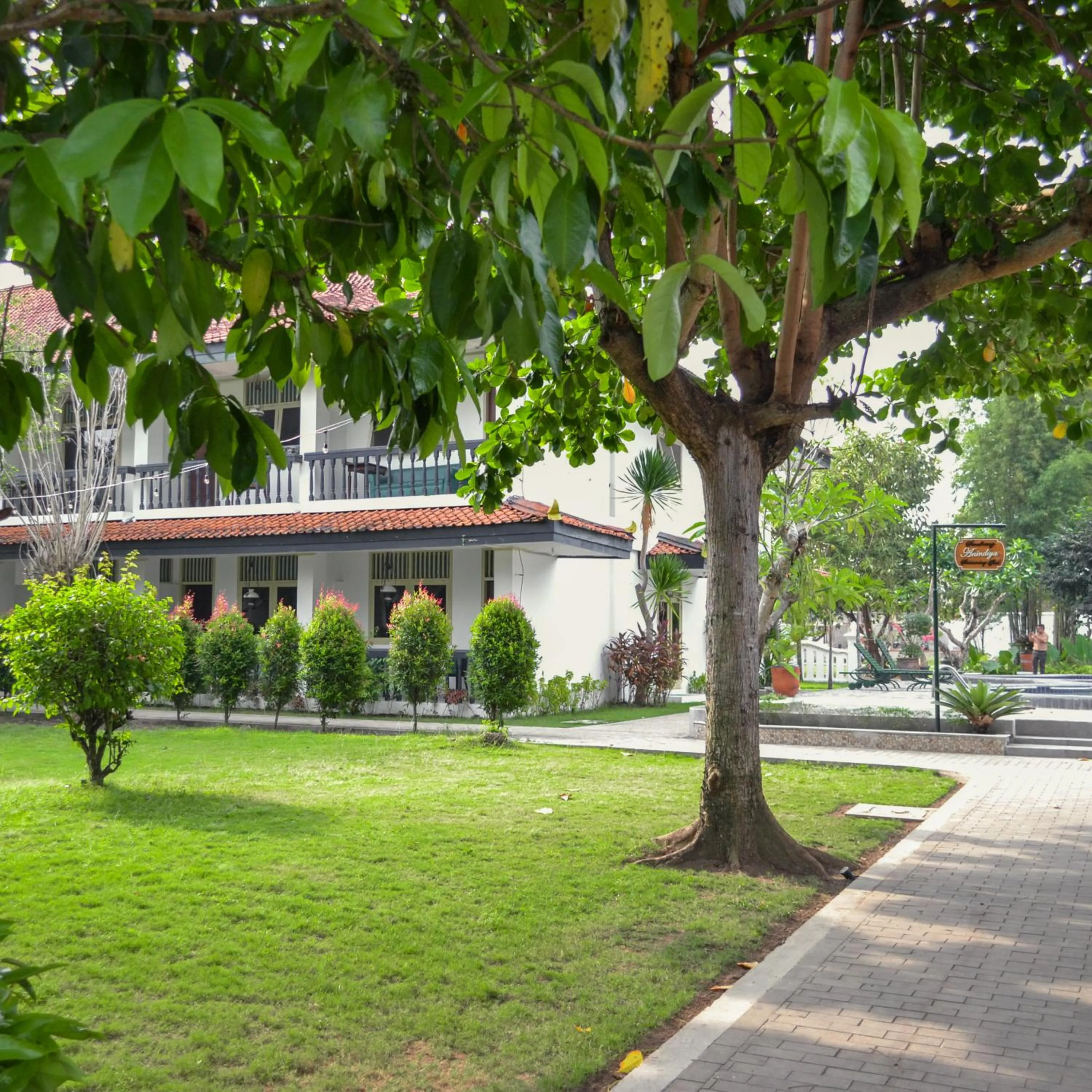 Garden in Royal Brongto Hotel