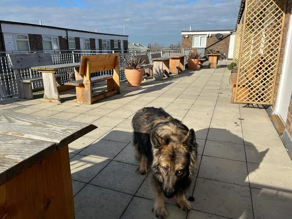 Balcony/Terrace in Traeth Rooms