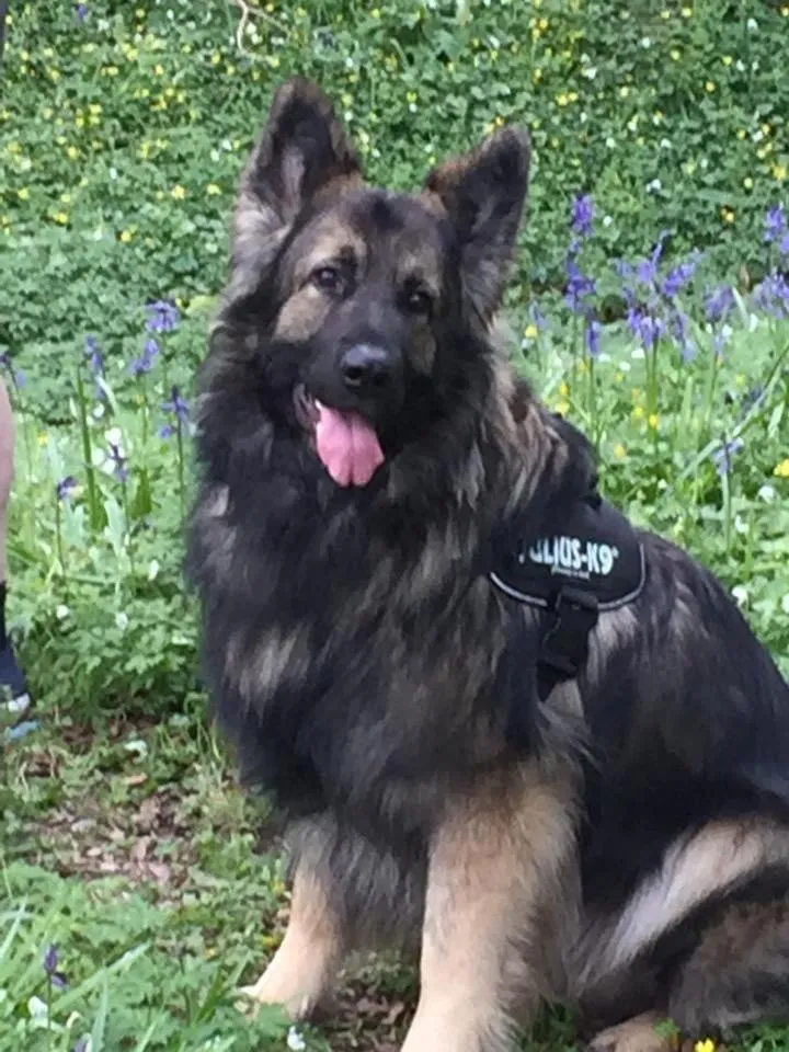 Other in Traeth Rooms