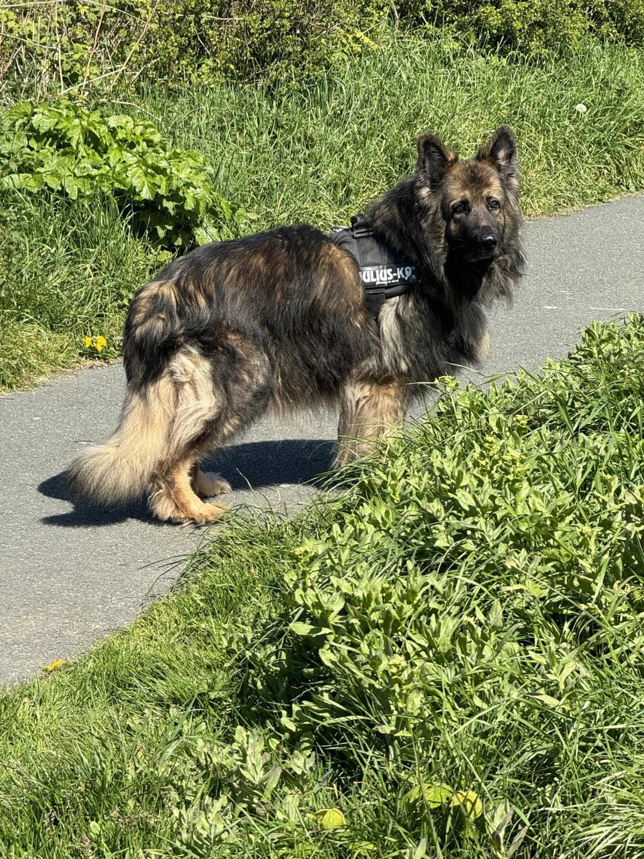 Activities in Traeth Rooms