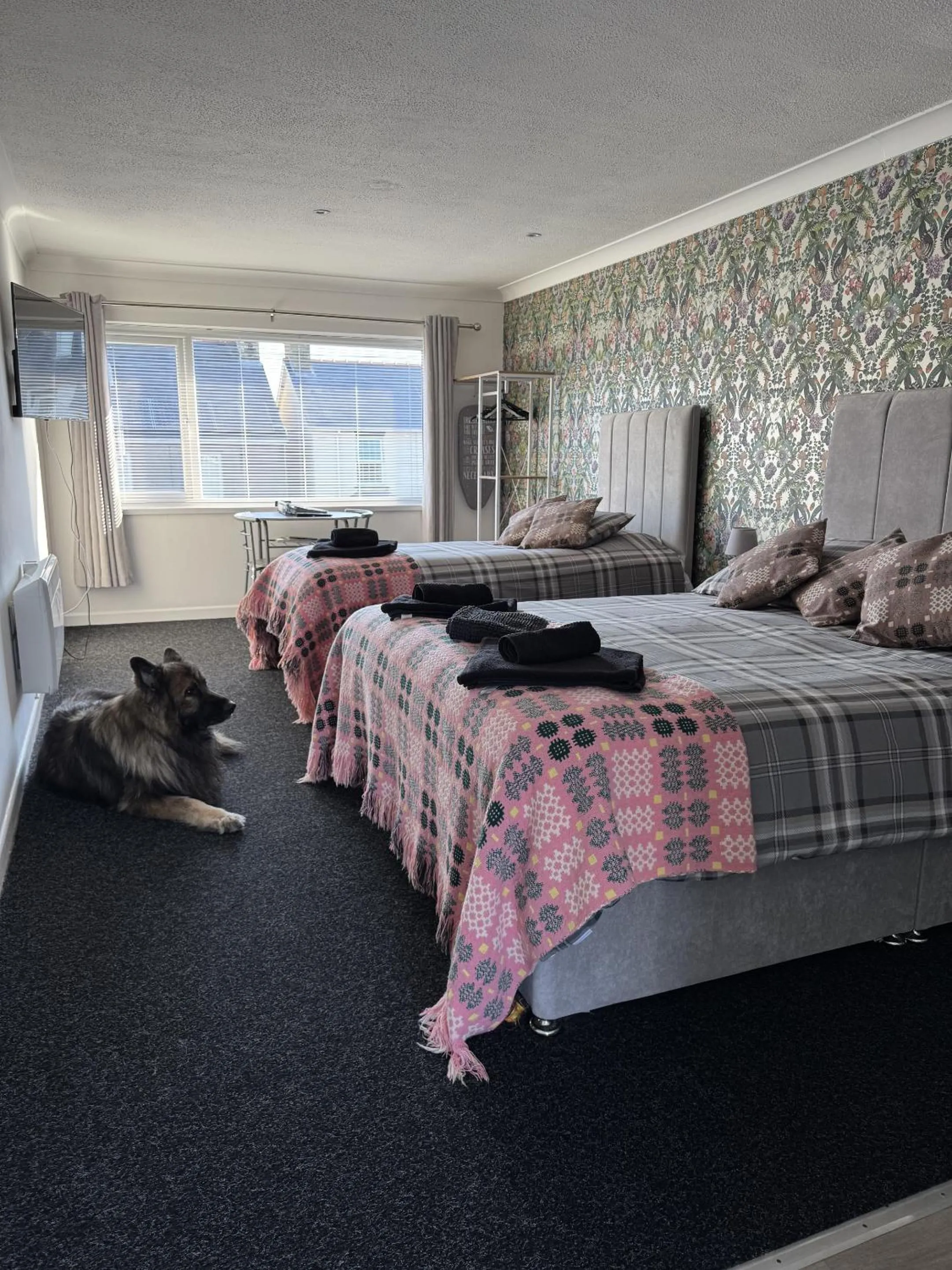 Other, Bed in Traeth Rooms