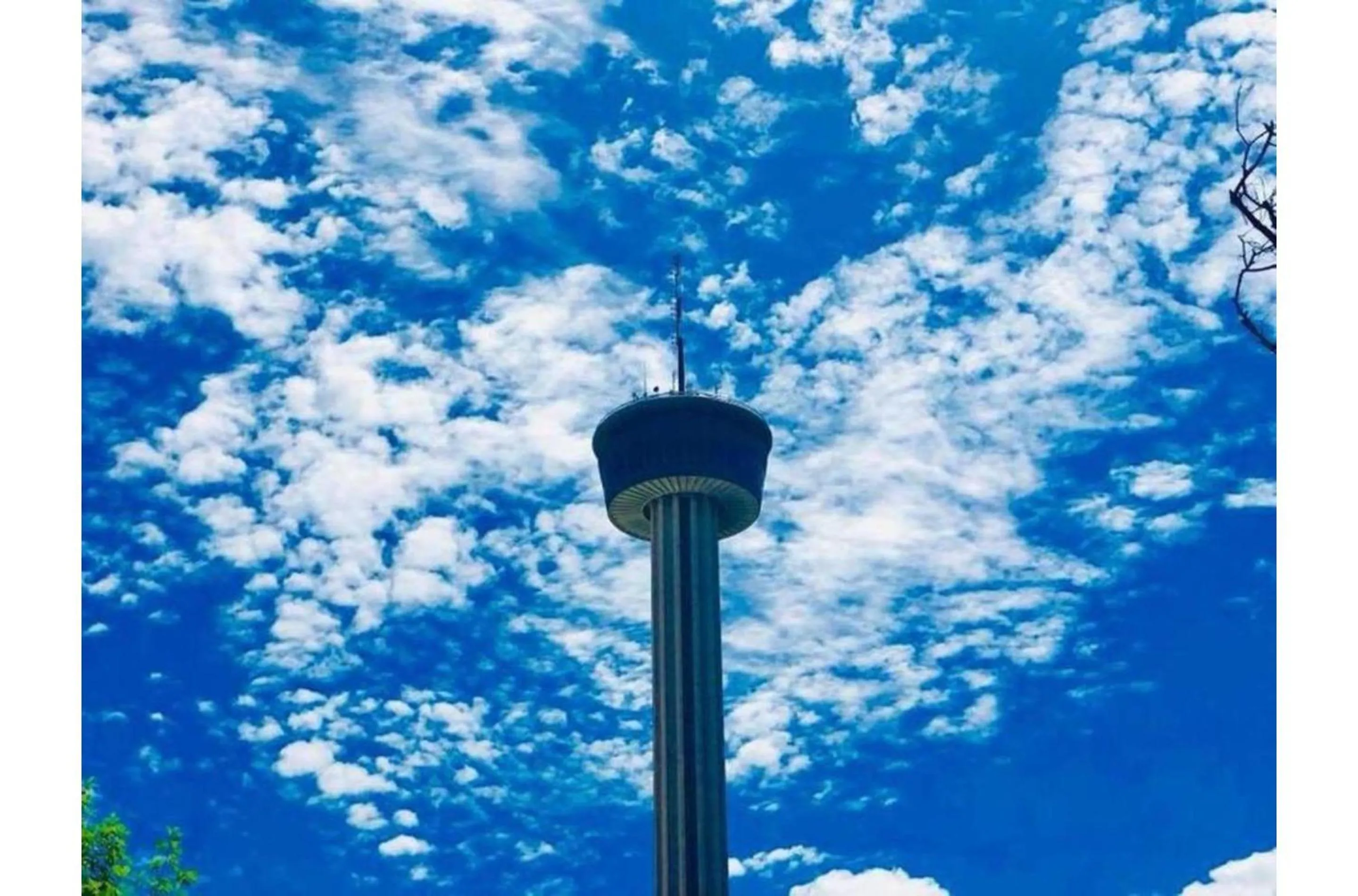 Other in Adorable 4BR 2BA Close to Riverwalk and Downtown