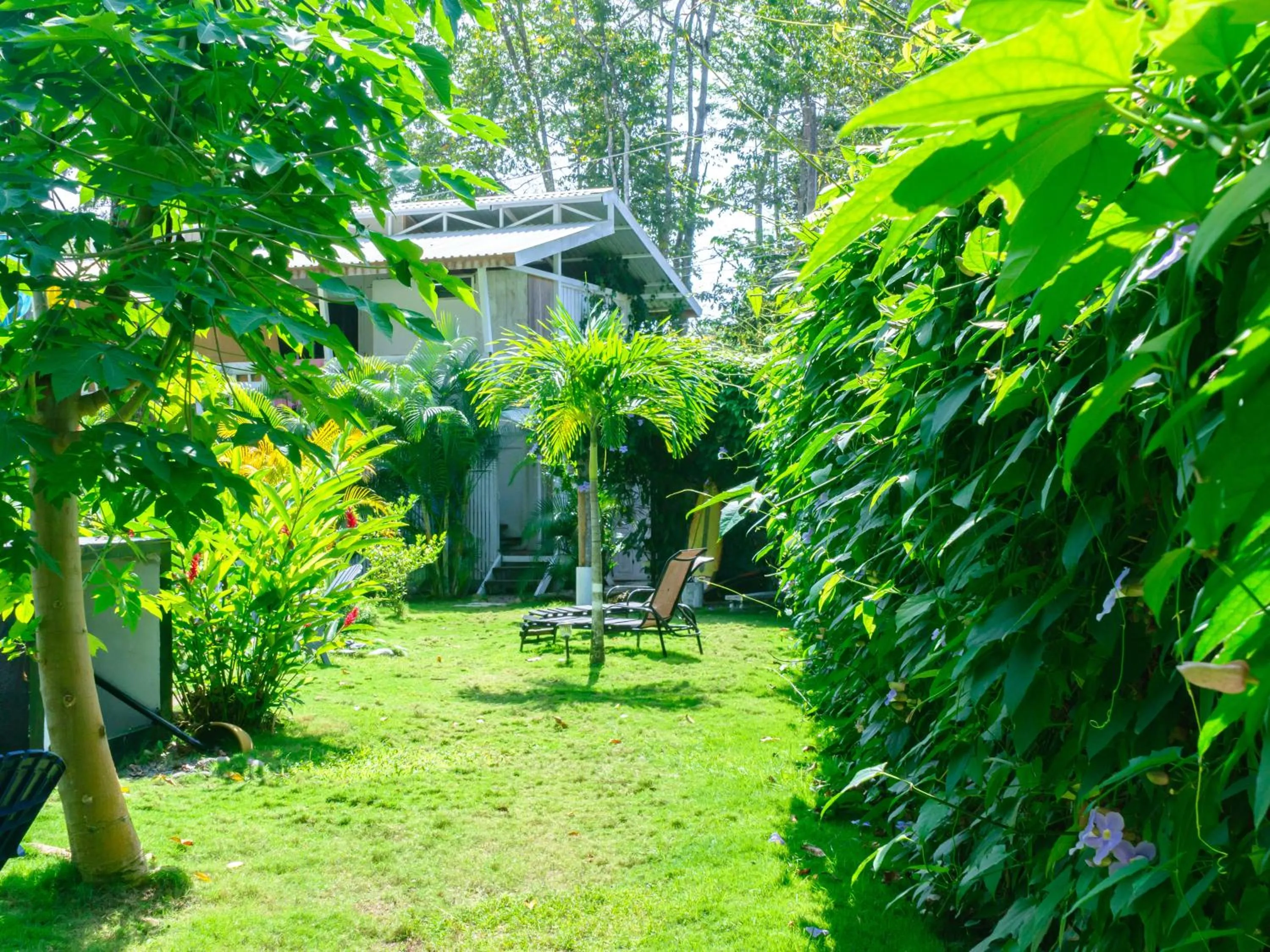 Garden in Olivia del caribe suite