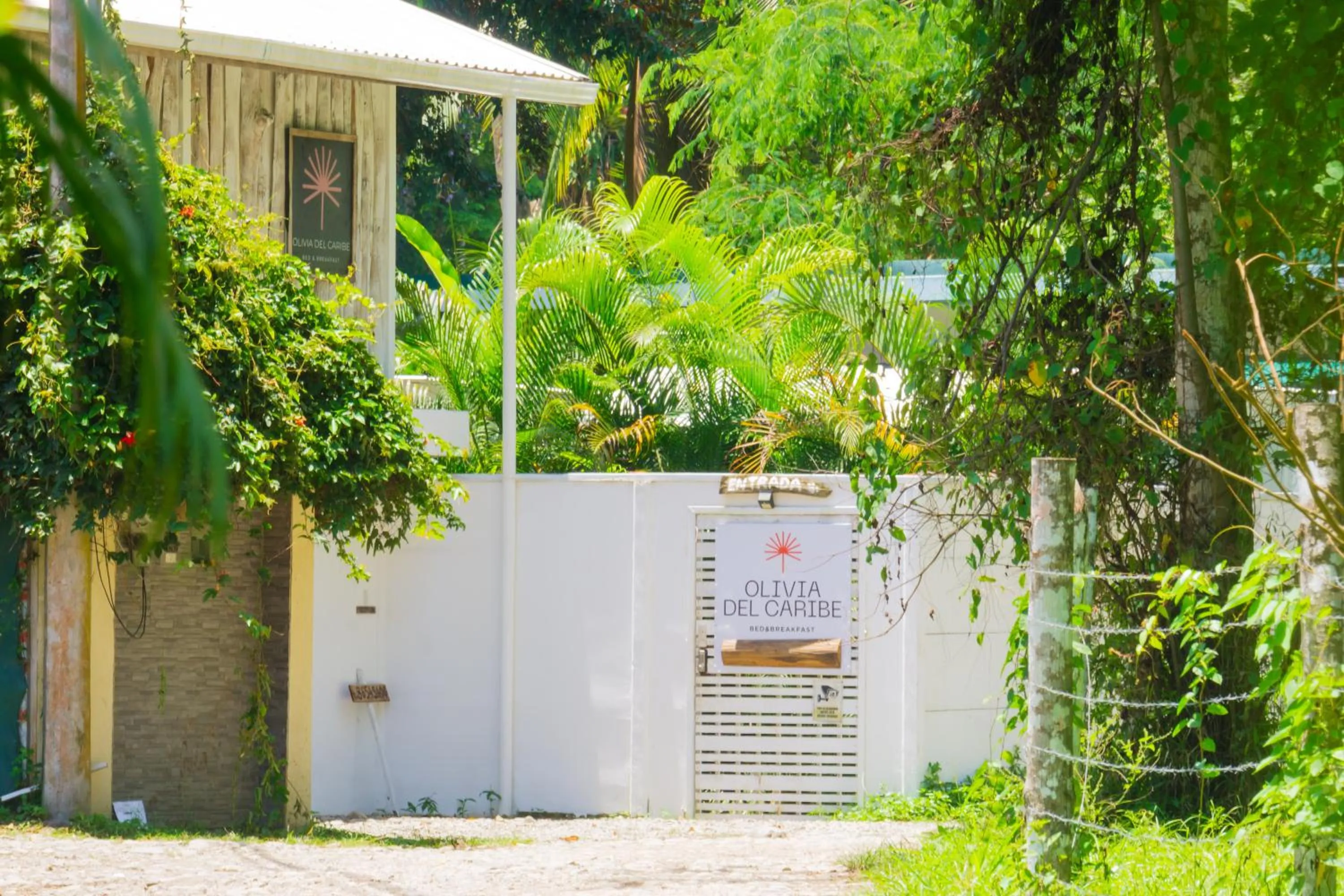 Property building in Olivia del caribe suite