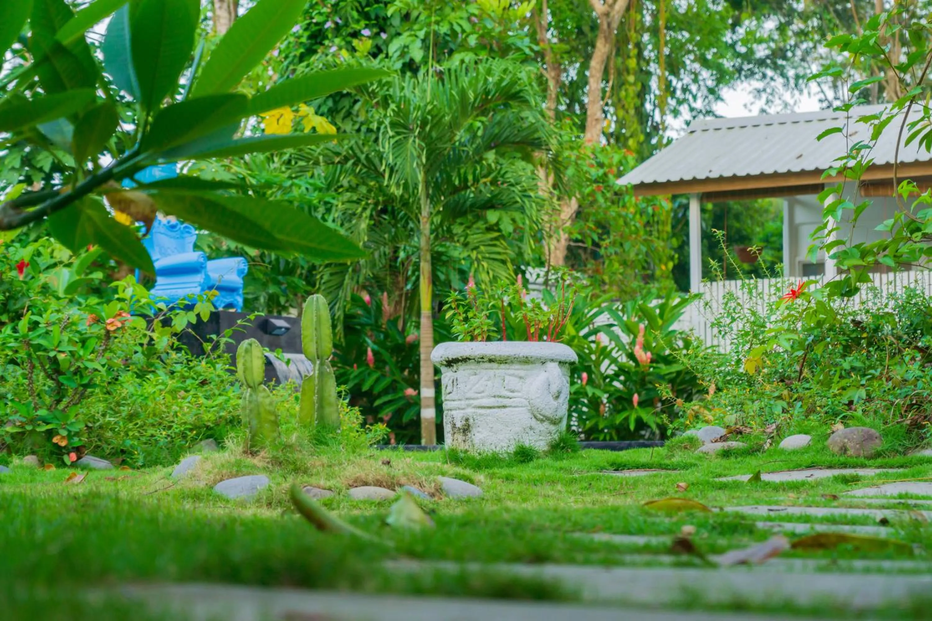 Garden in Olivia del caribe suite