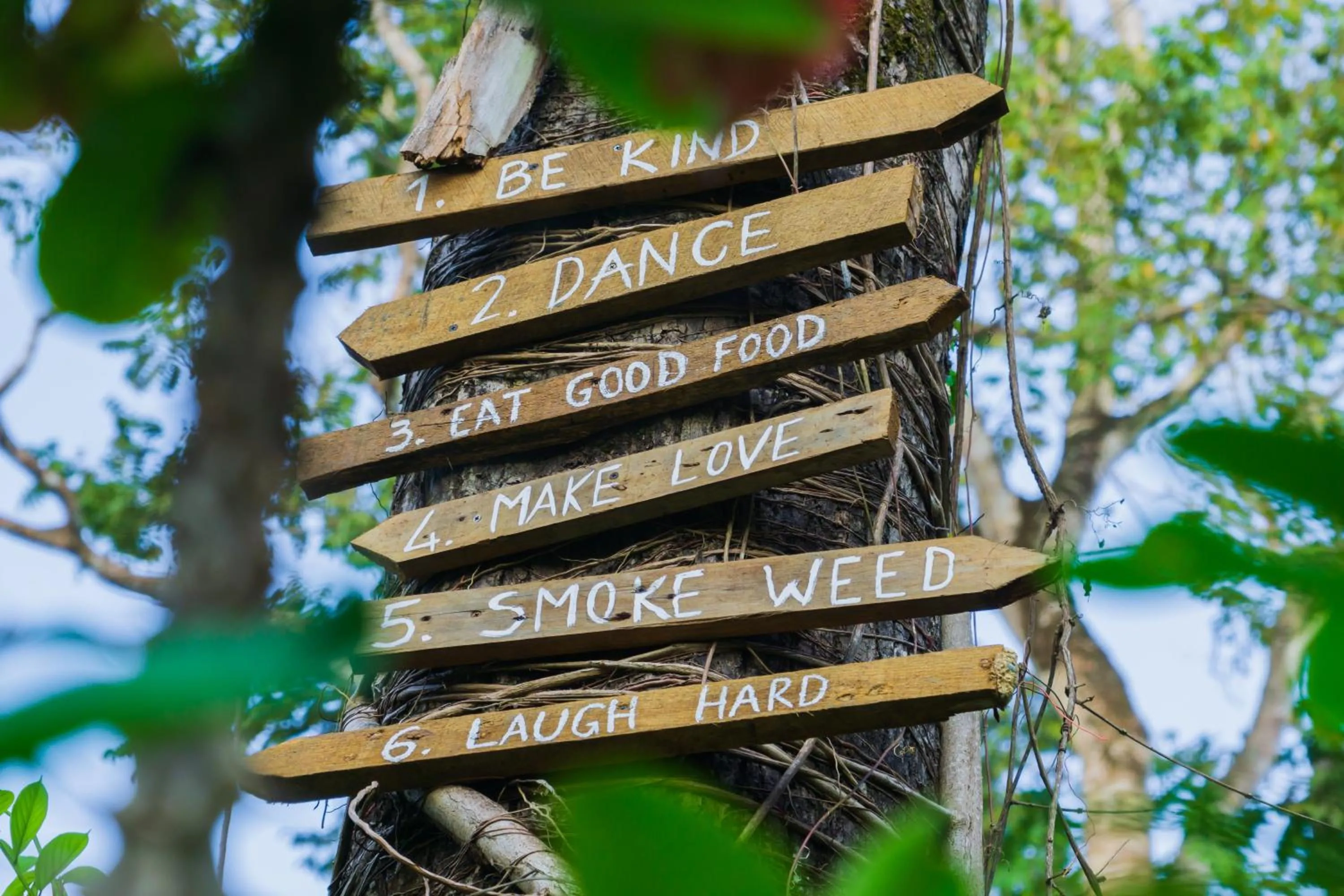 Natural landscape in Olivia del caribe suite