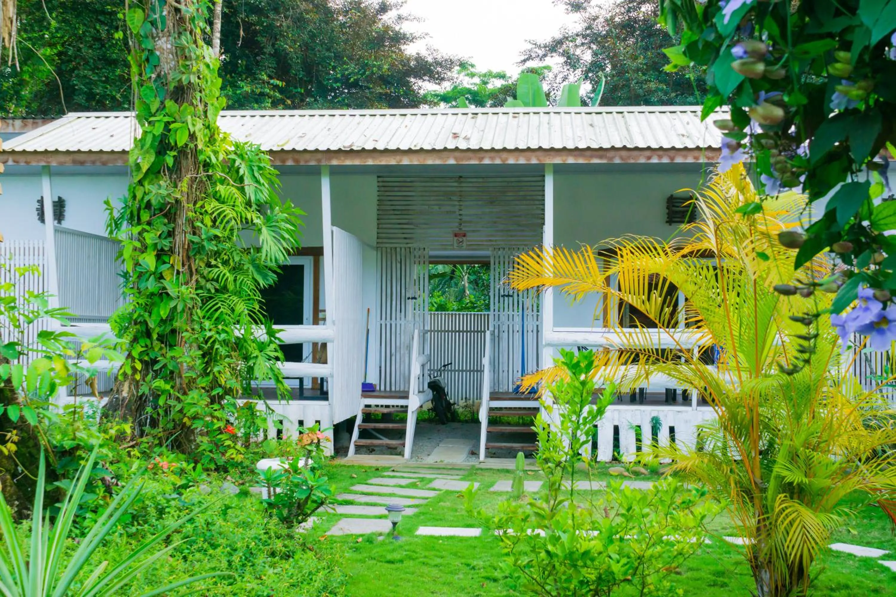 Property building in Olivia del caribe suite