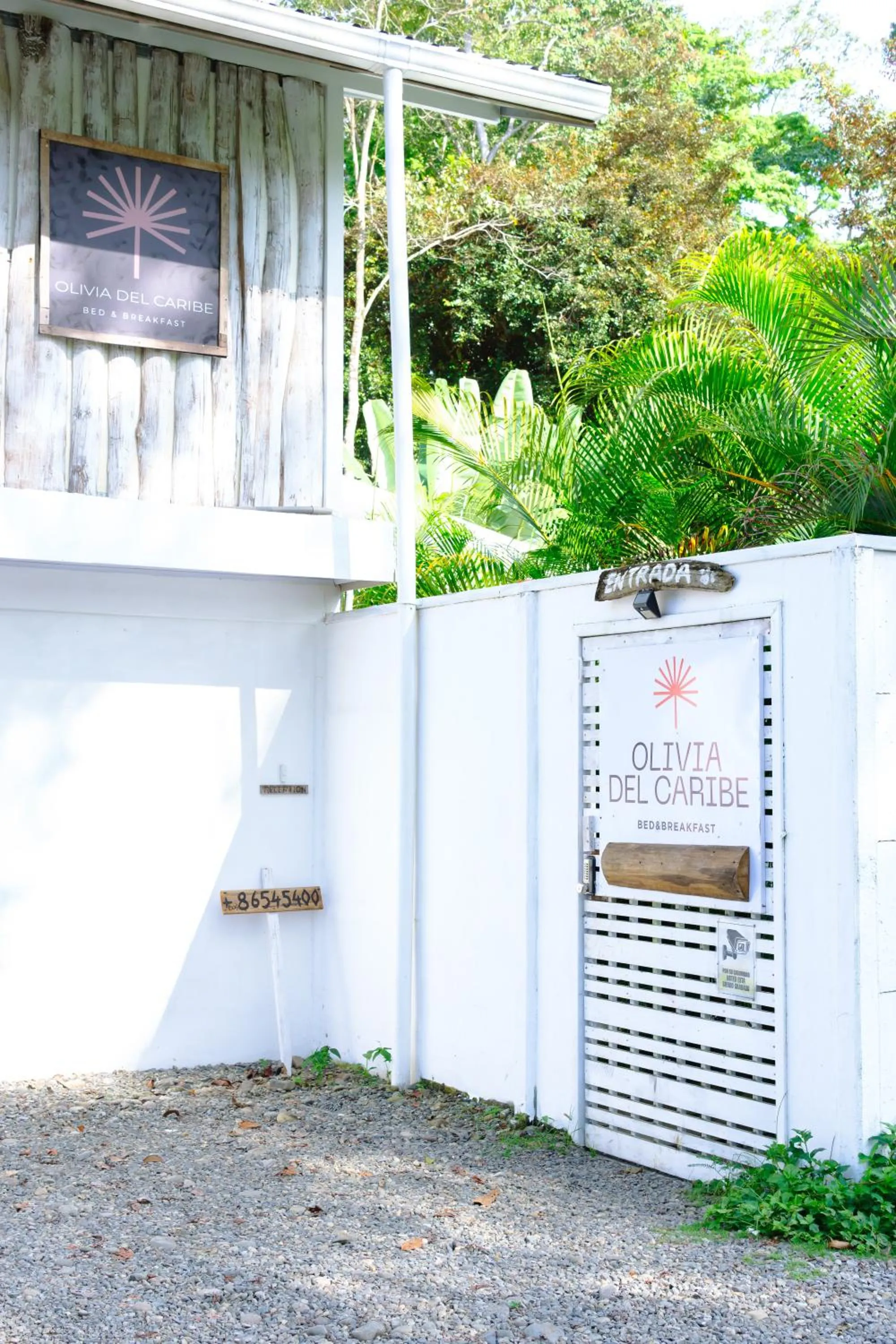 Property building in Olivia del caribe suite