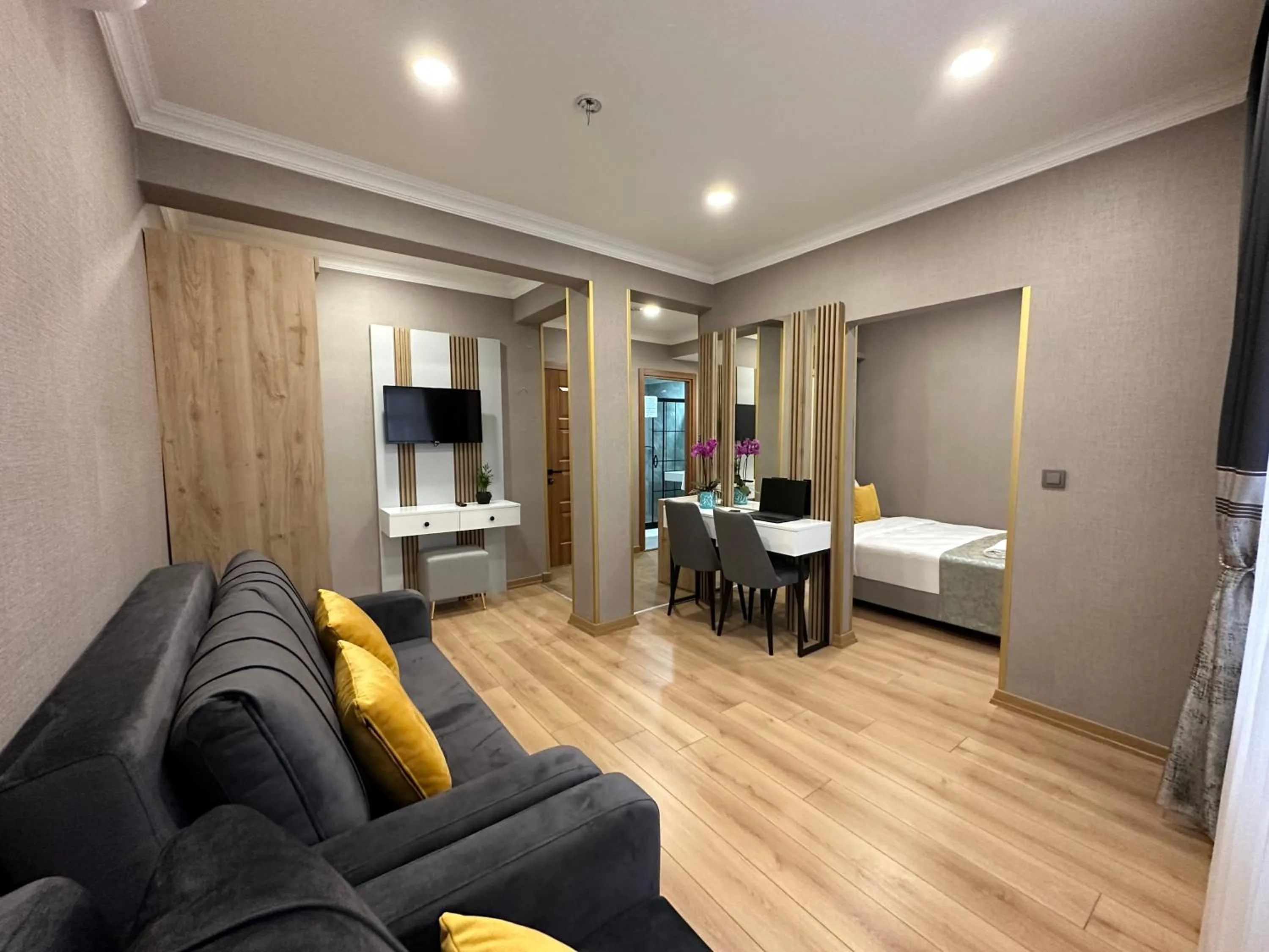 TV and multimedia in H&L Suites