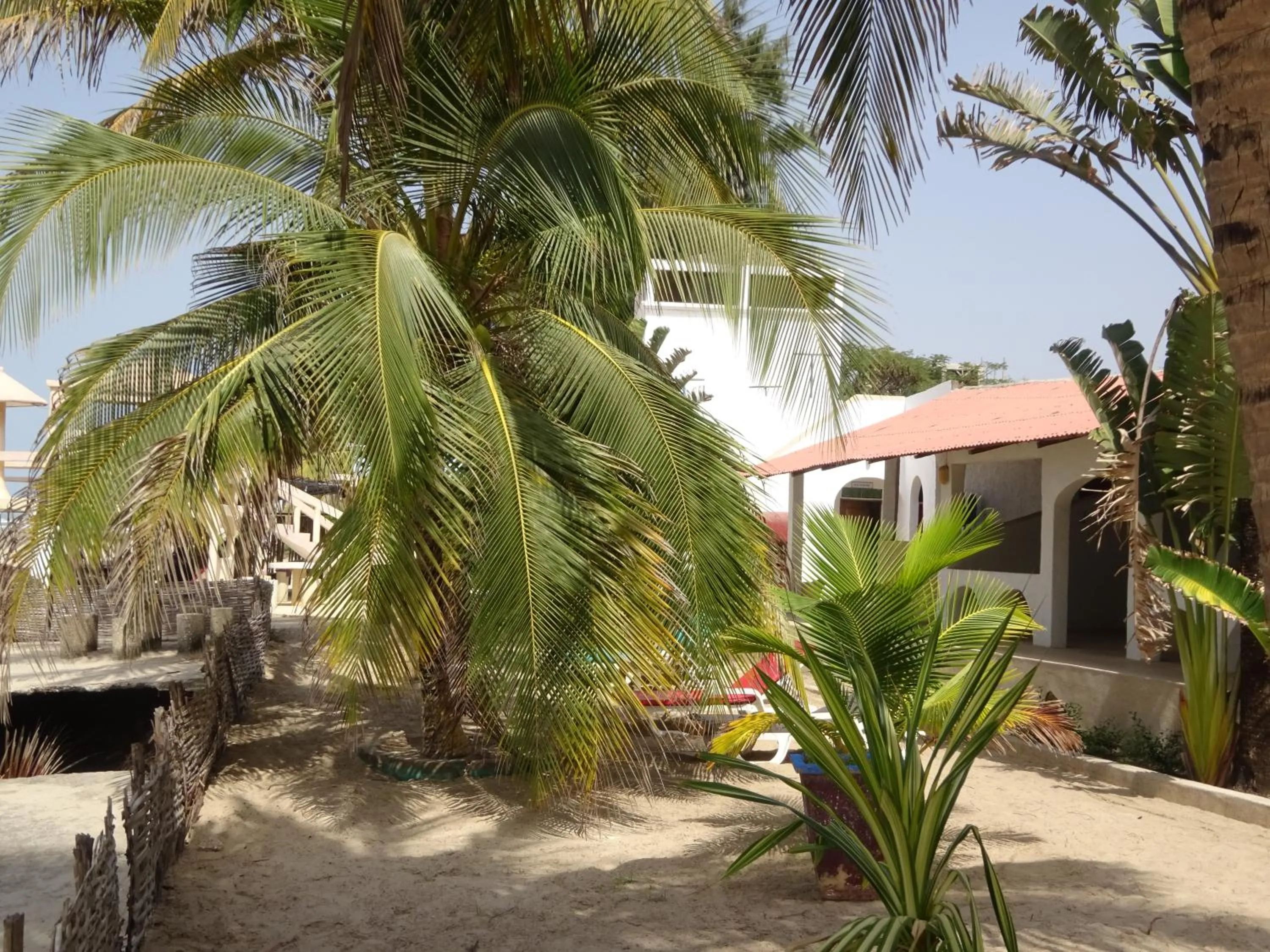 Garden view in HOTEL DU BAR DE LA MER CAP SKIRRiNG