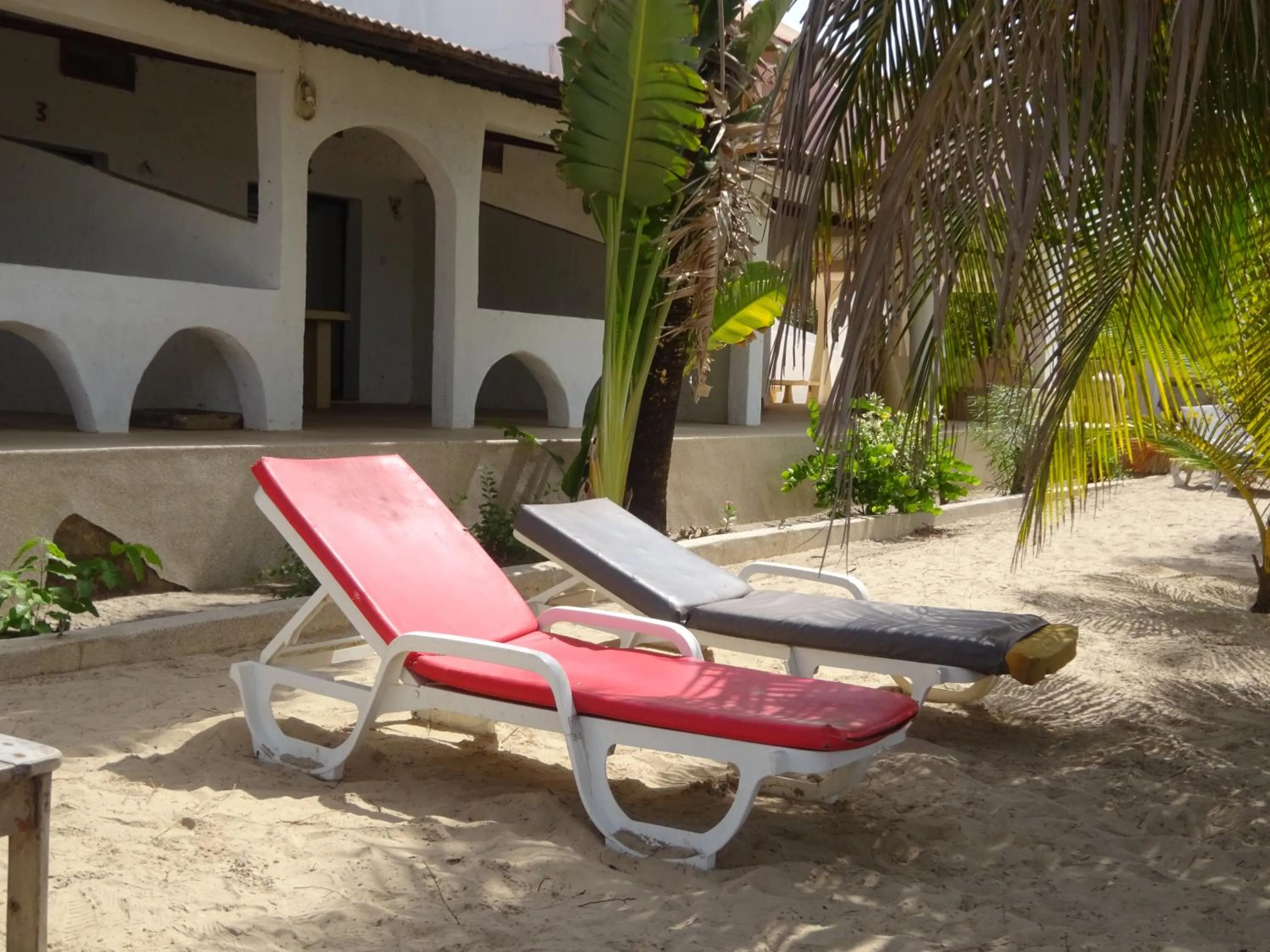 Garden in HOTEL DU BAR DE LA MER CAP SKIRRiNG