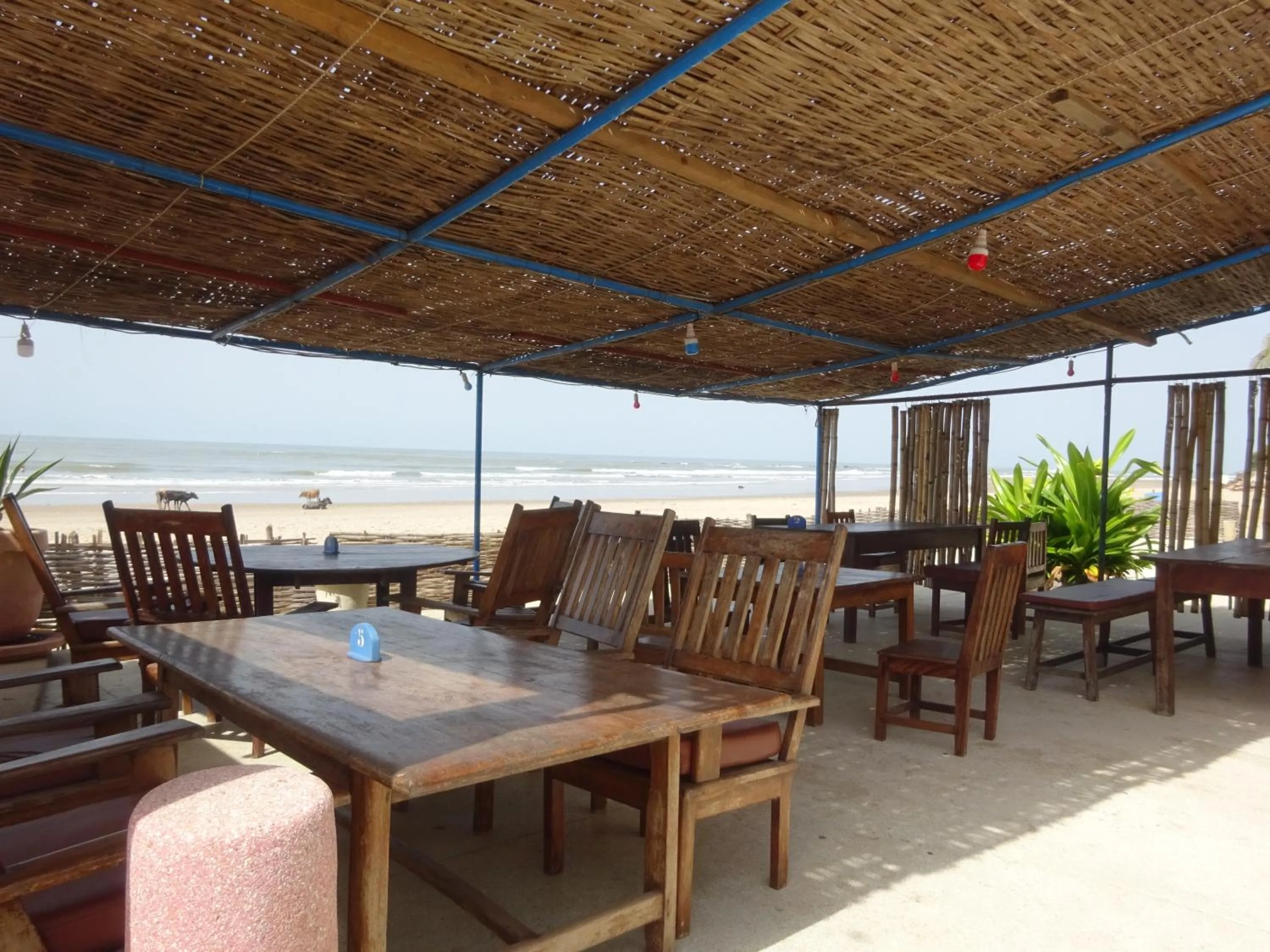 Restaurant/places to eat in HOTEL DU BAR DE LA MER CAP SKIRRiNG