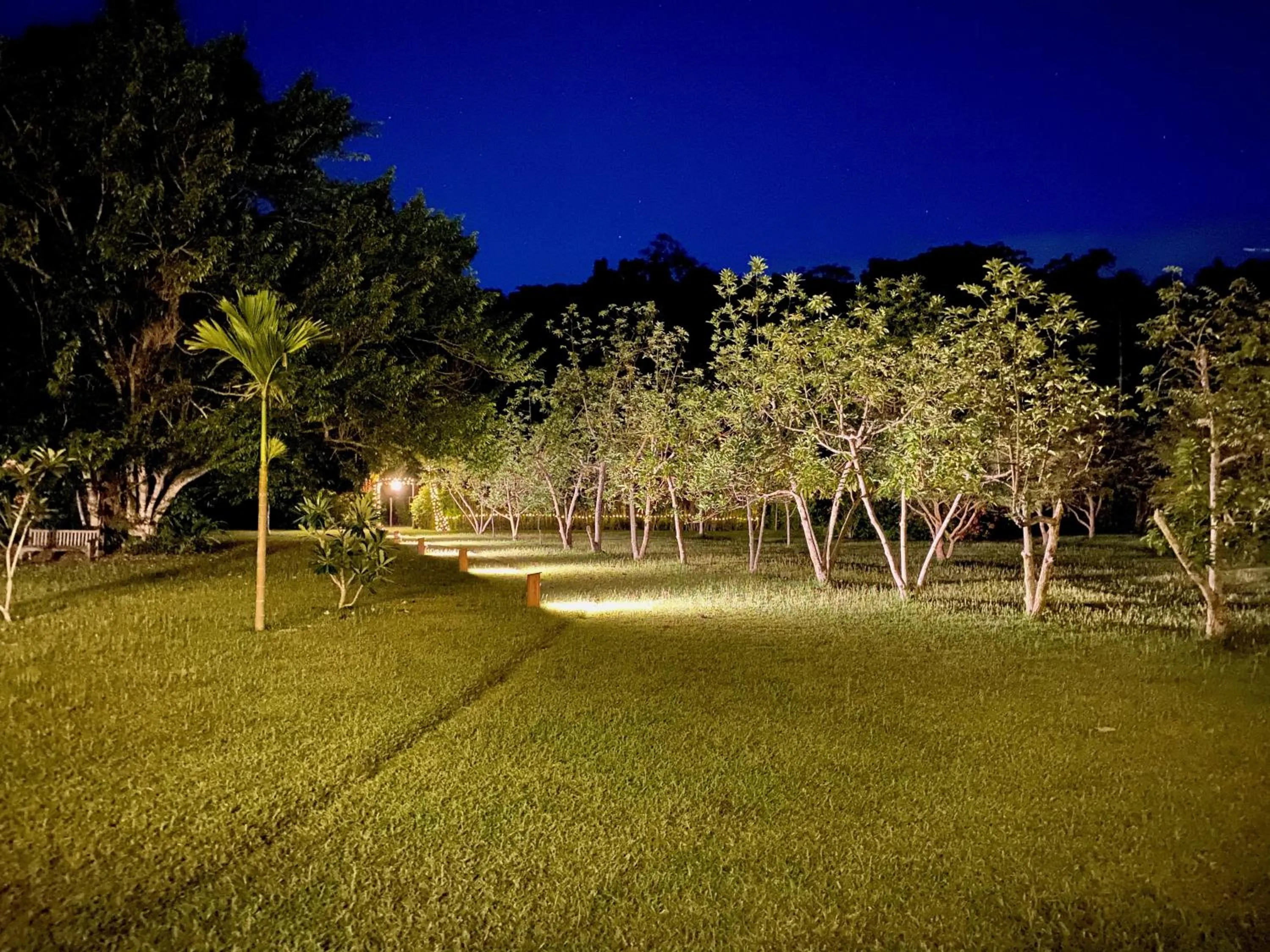 Natural landscape in Freshwater Plantation Farm Stay