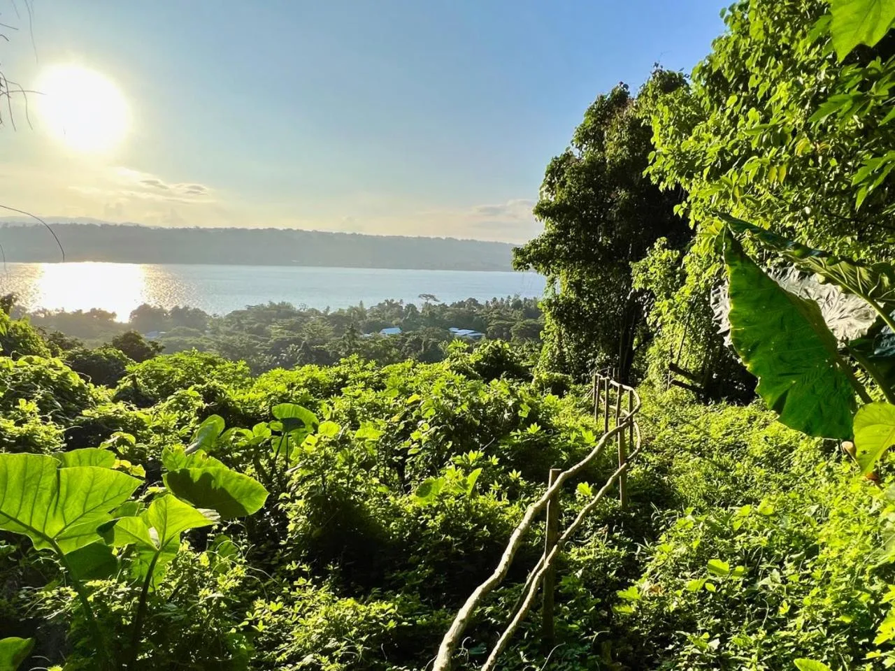 Freshwater Plantation Farm Stay