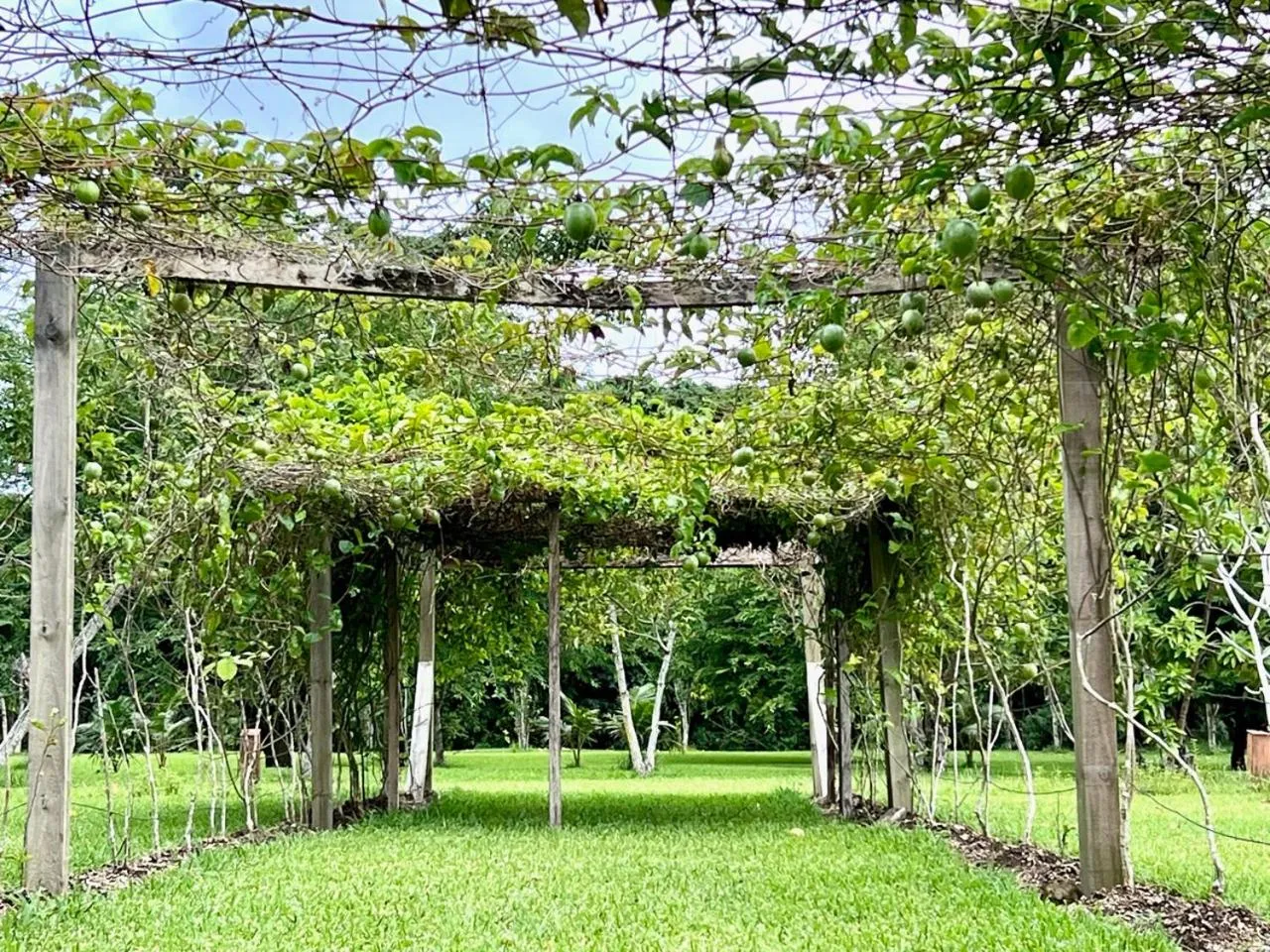 Freshwater Plantation Farm Stay