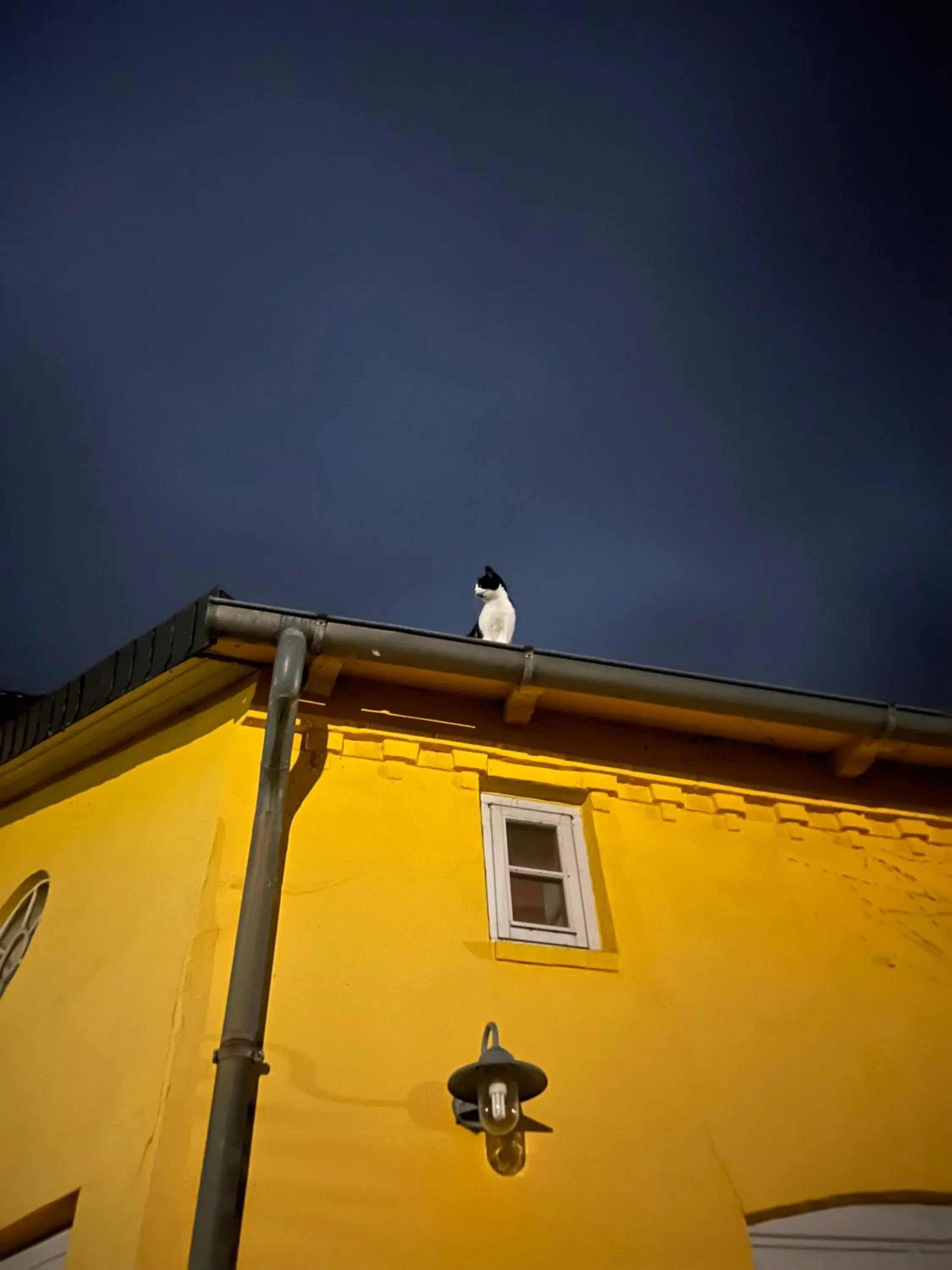 Lindenhof ChezArtistes