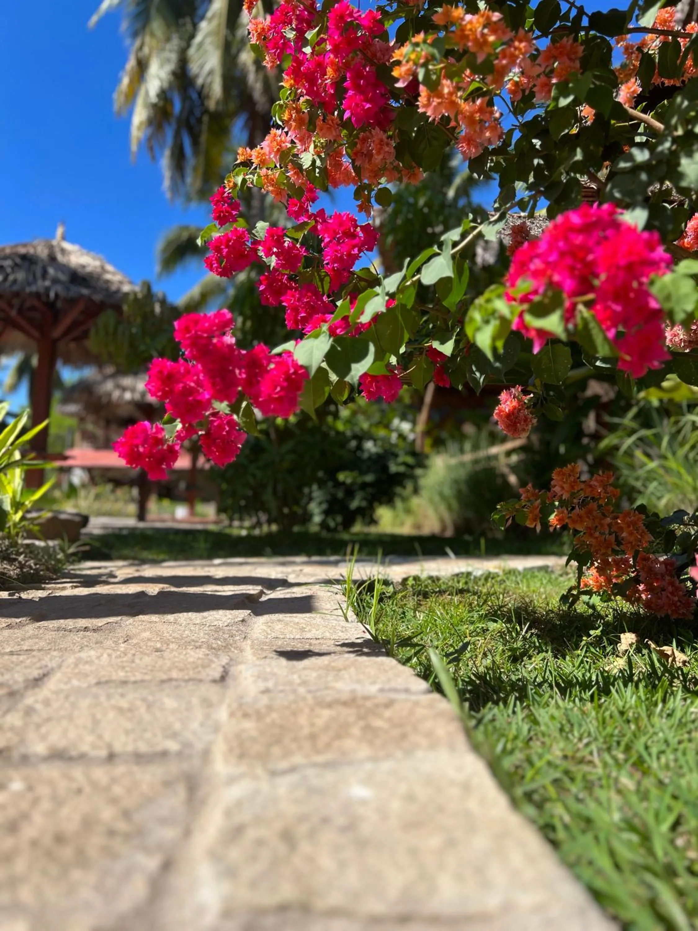 Garden in NatShi Lodge