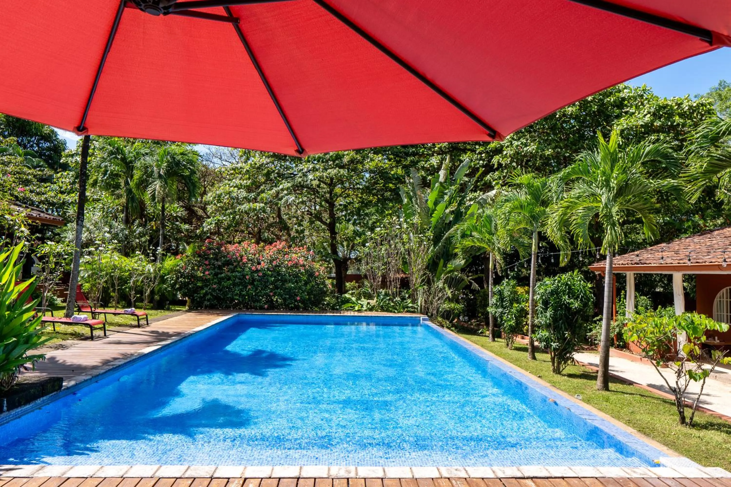 Swimming pool in Casa Mapache