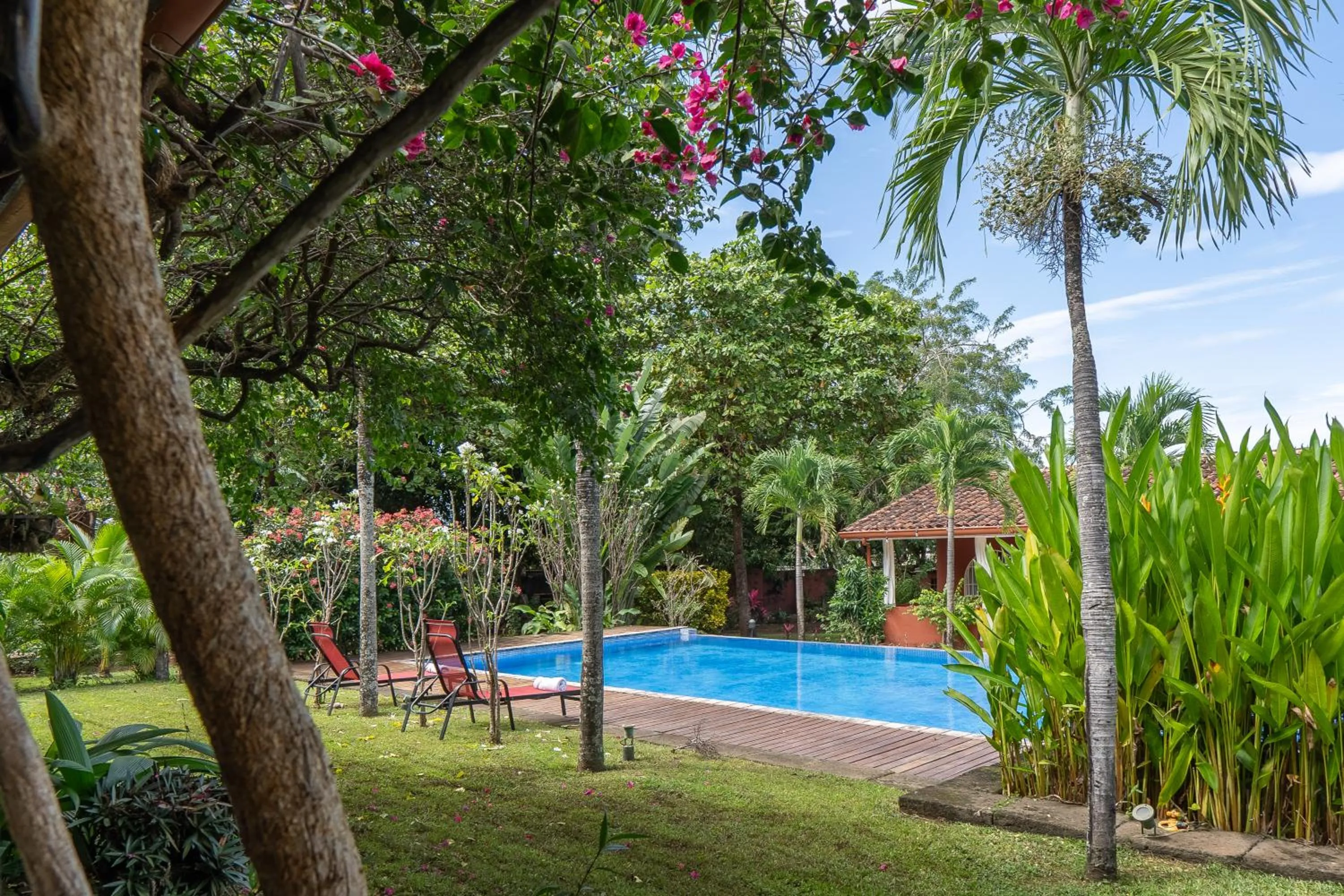 Swimming pool in Casa Mapache
