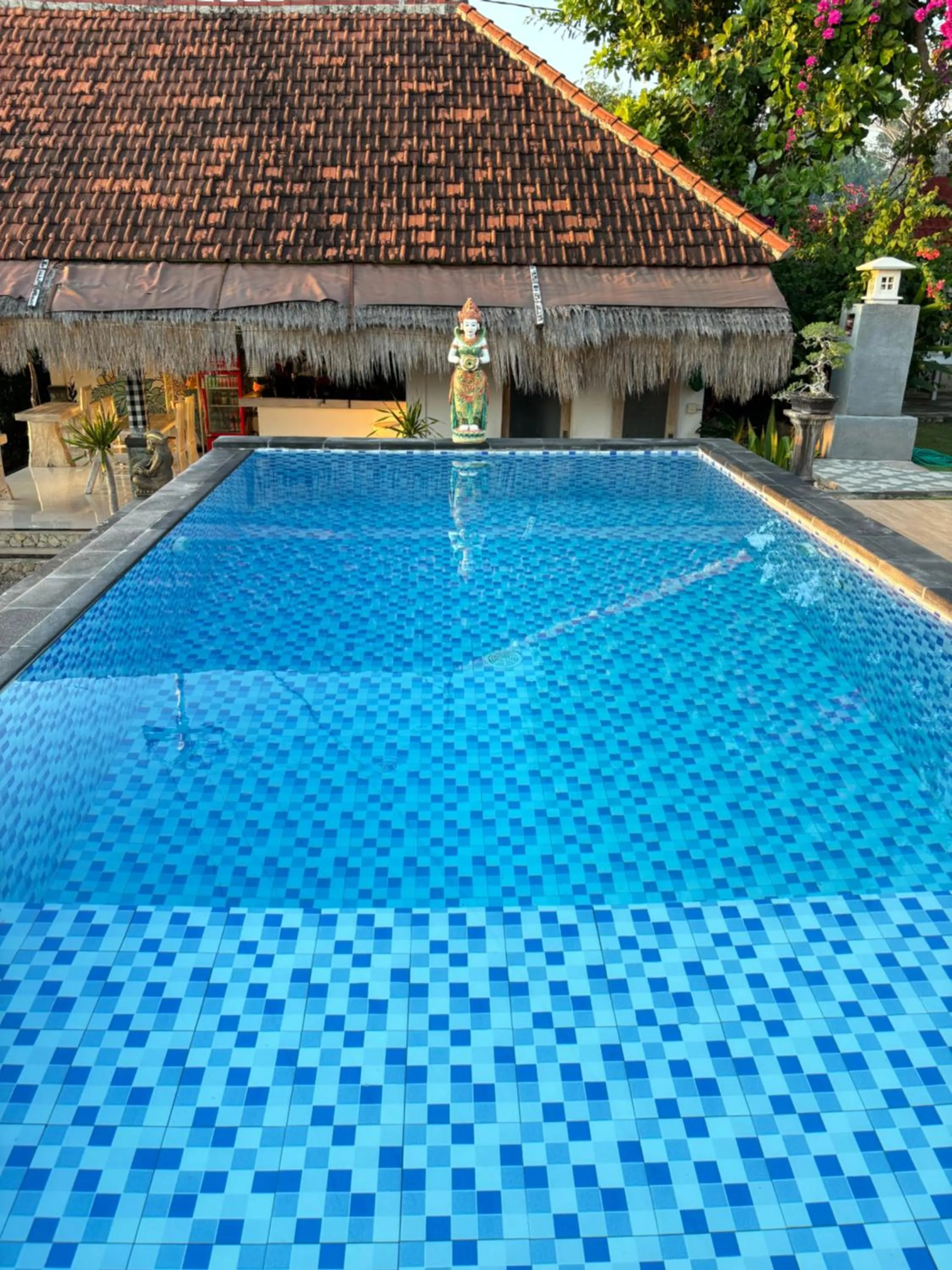 Swimming pool in Penida Hills