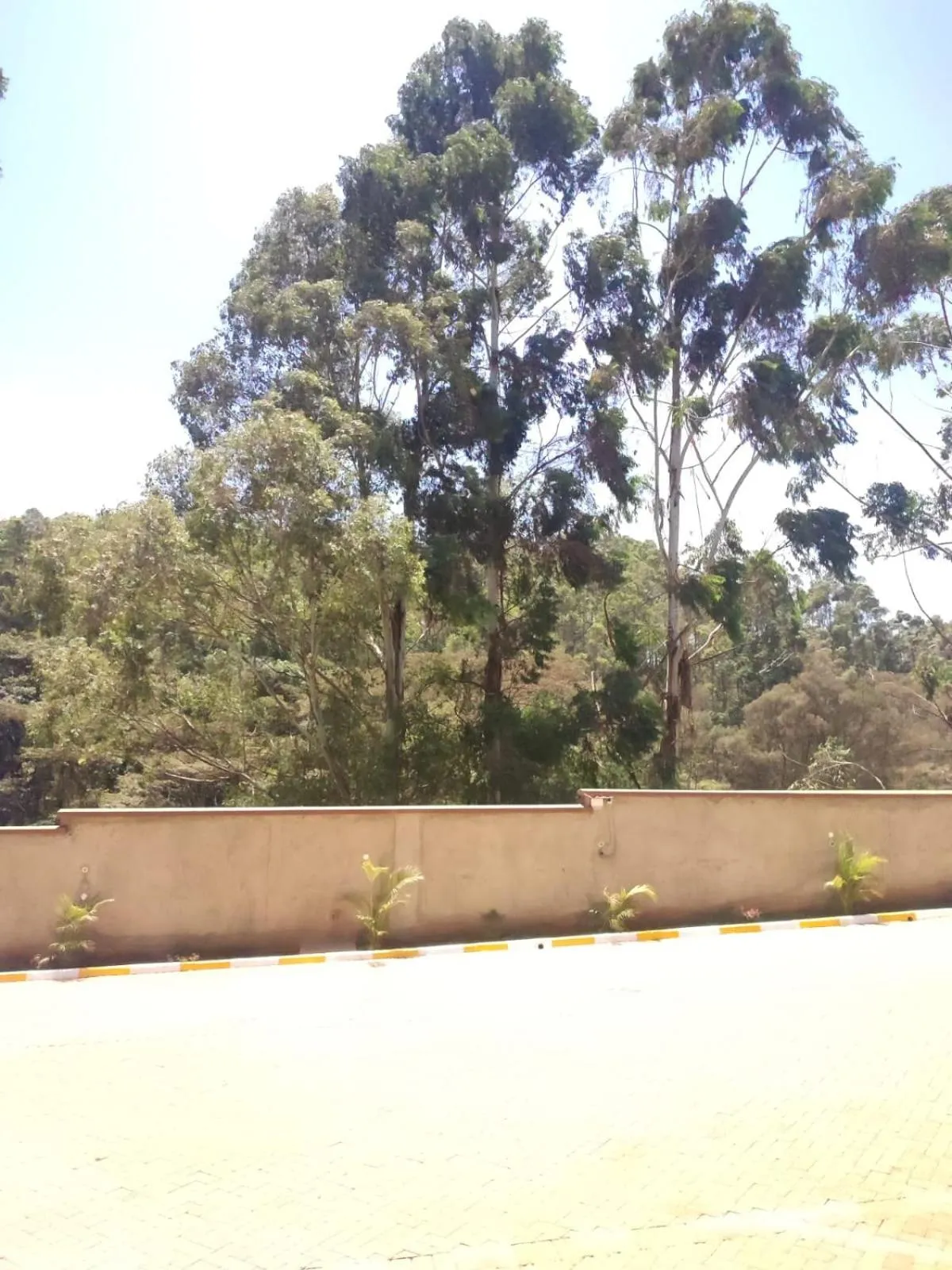 View (from property/room) in Gardens Executive Suites