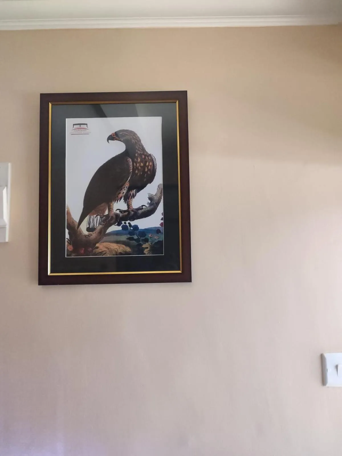 TV and multimedia in Gardens Executive Suites