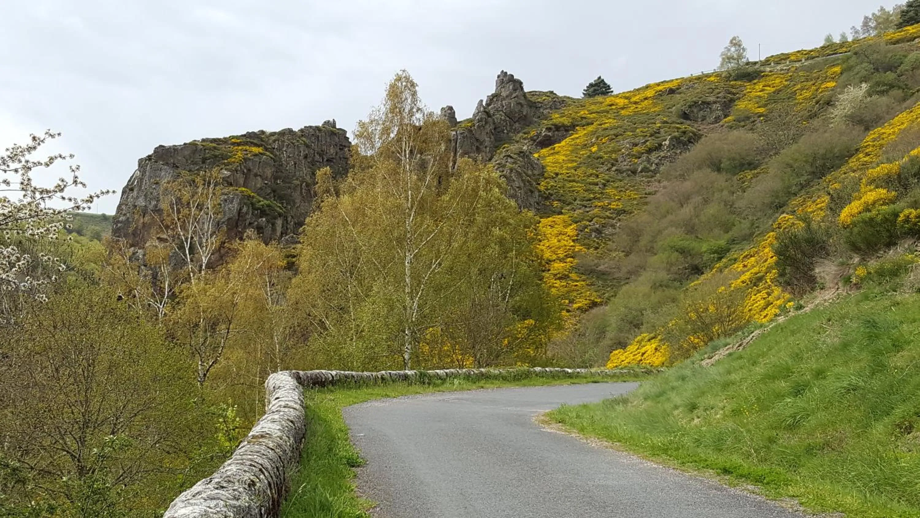 Natural landscape in Les Chalets de la MARGERIDE