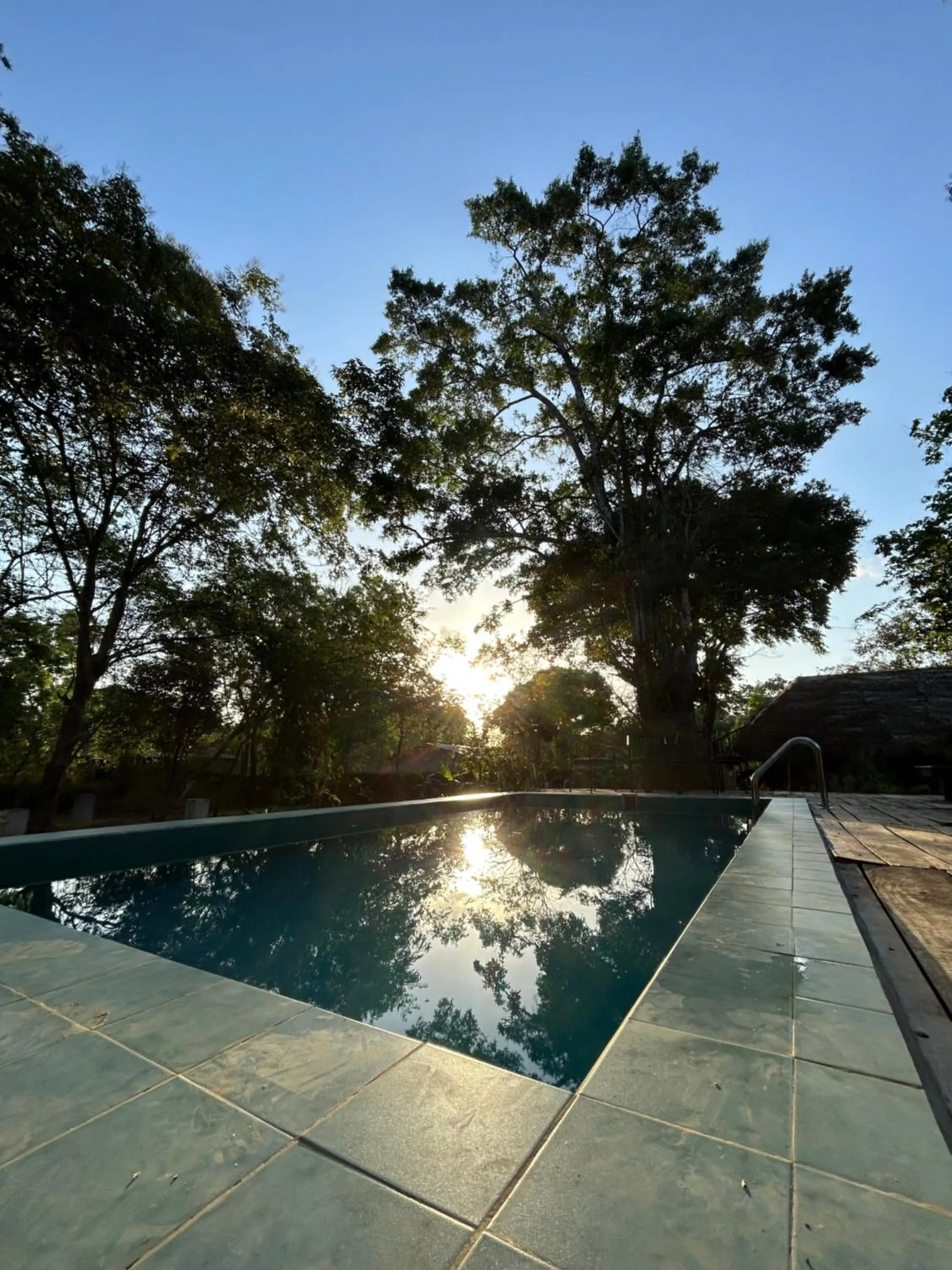 Swimming pool in Gabaa Resort & Spa - Habarana