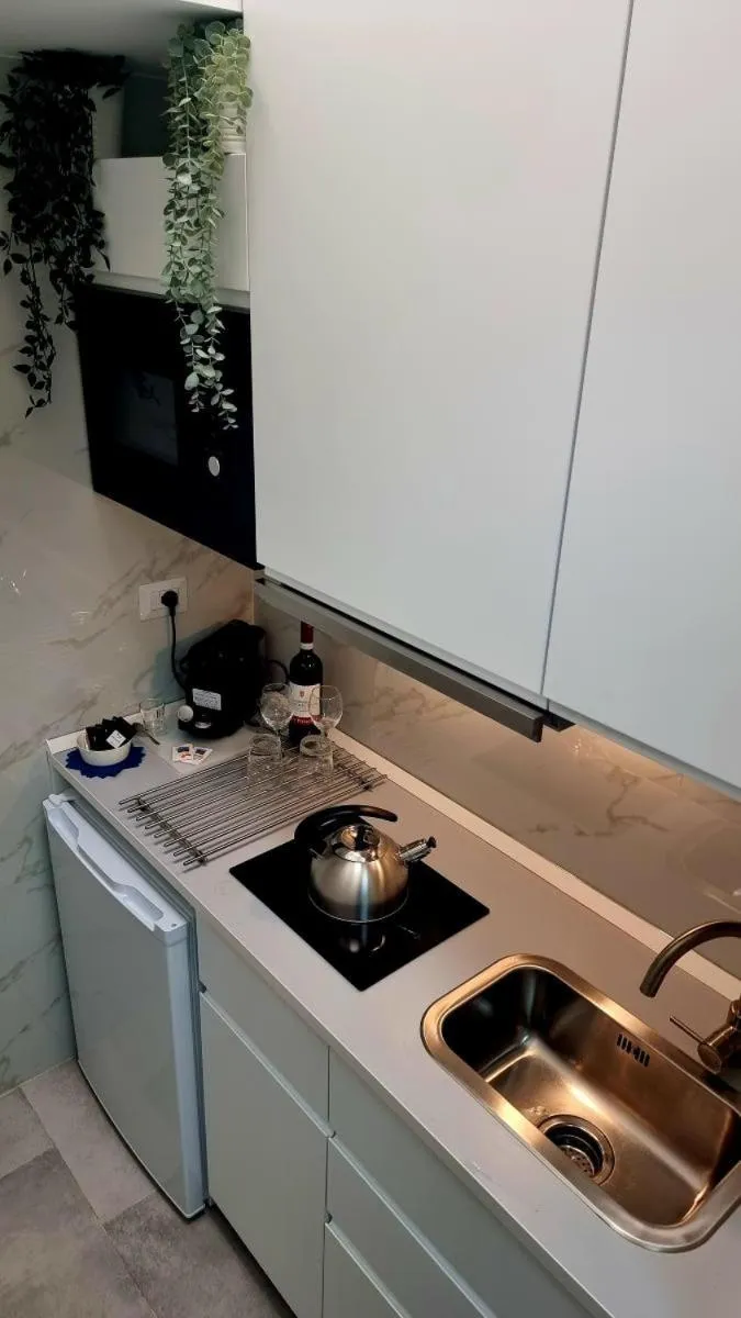 Kitchen or kitchenette in Casa Storica Piazza 5 Giornate