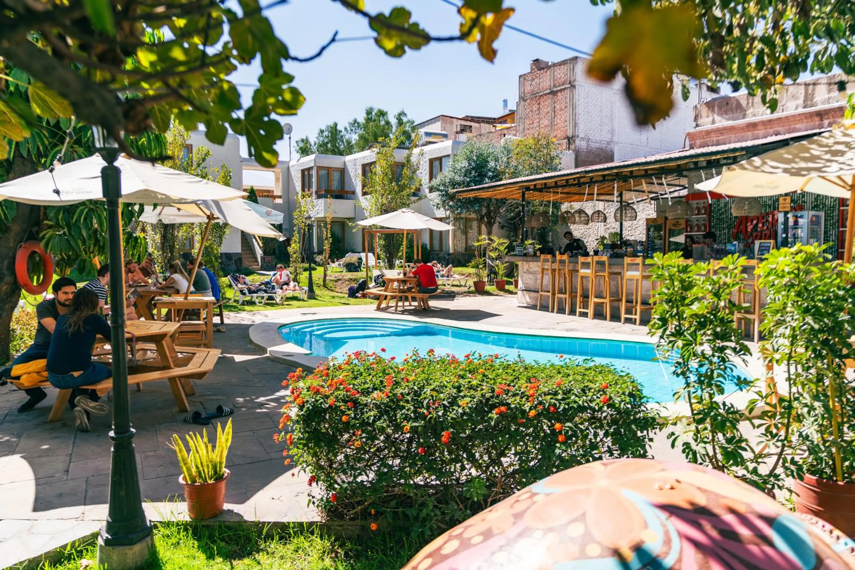 Swimming pool in qema Arequipa
