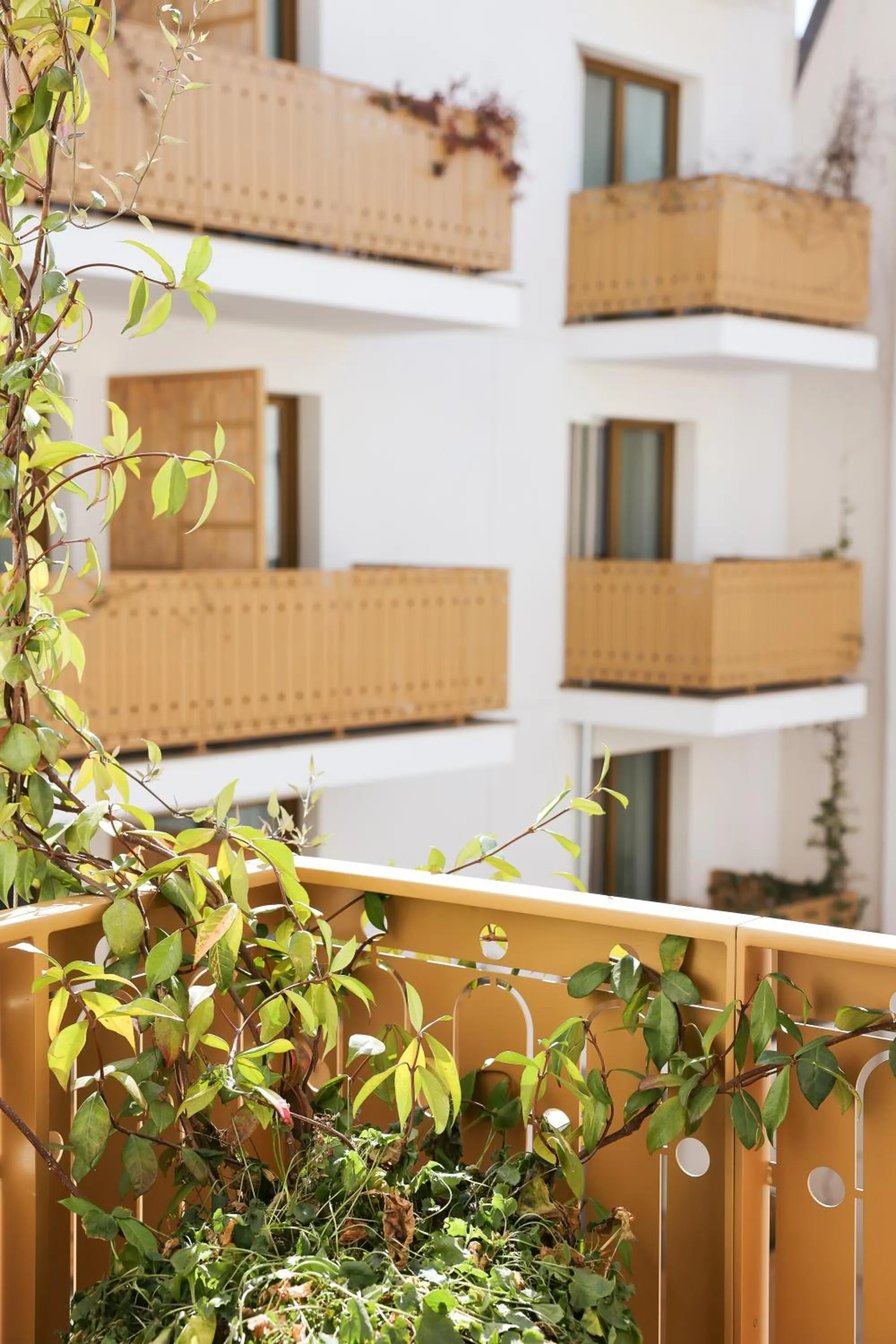 Bloom House Hôtel & SPA