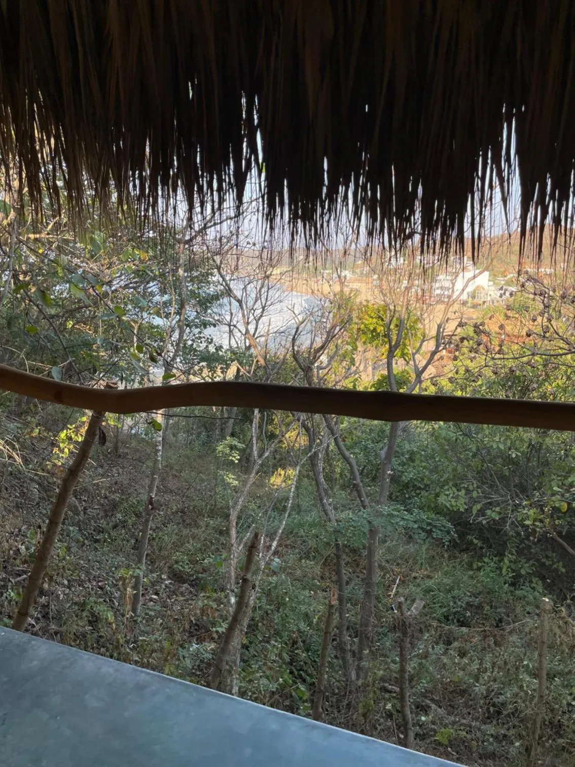 Natural landscape in COCOS HOTEL