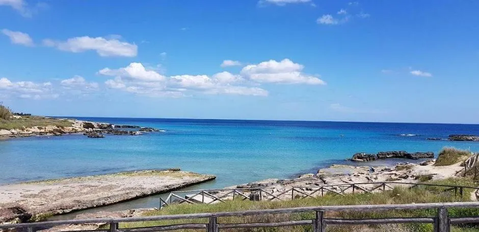Beach in Hotel La Plancia