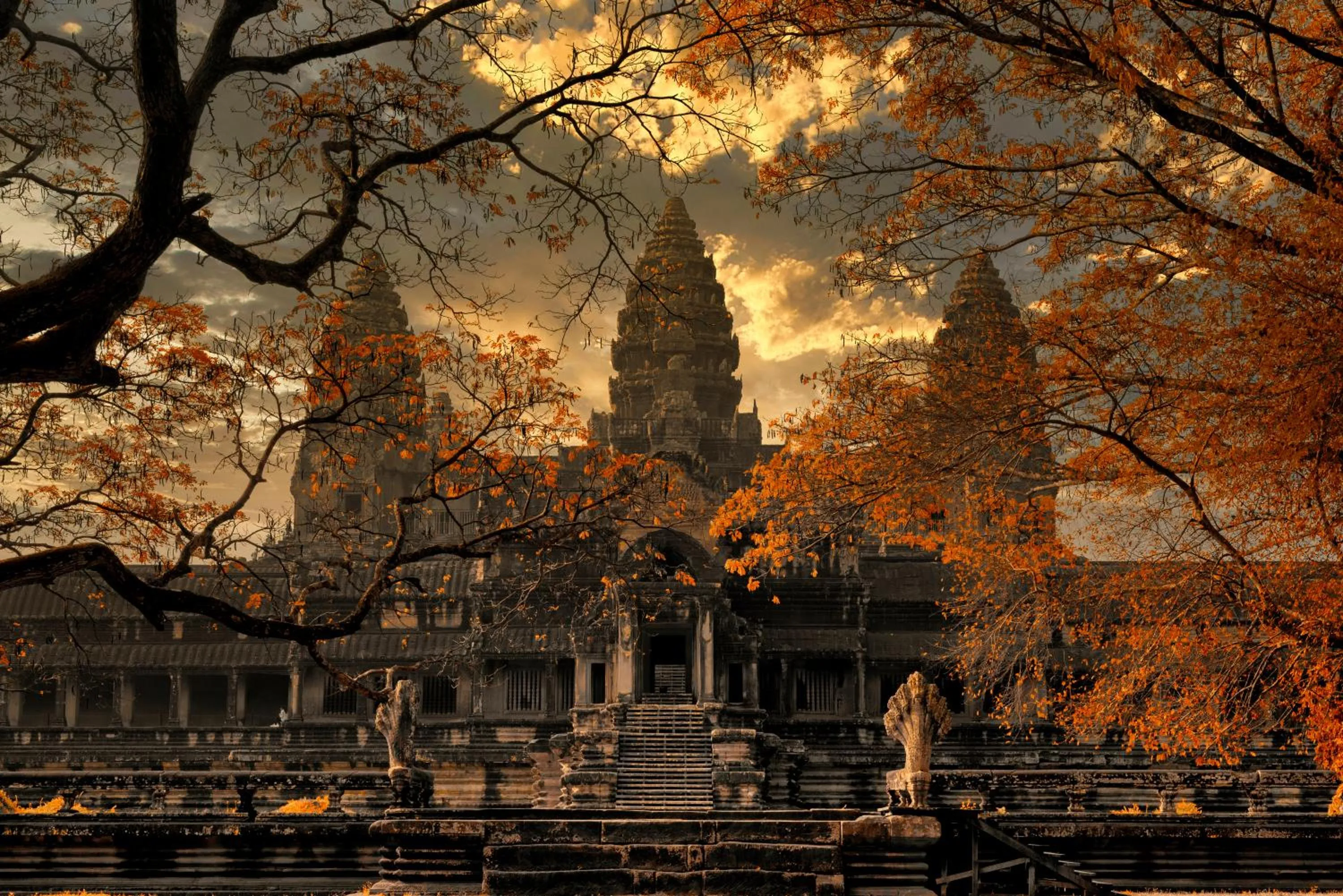 Other in Blanc Smith Hotel