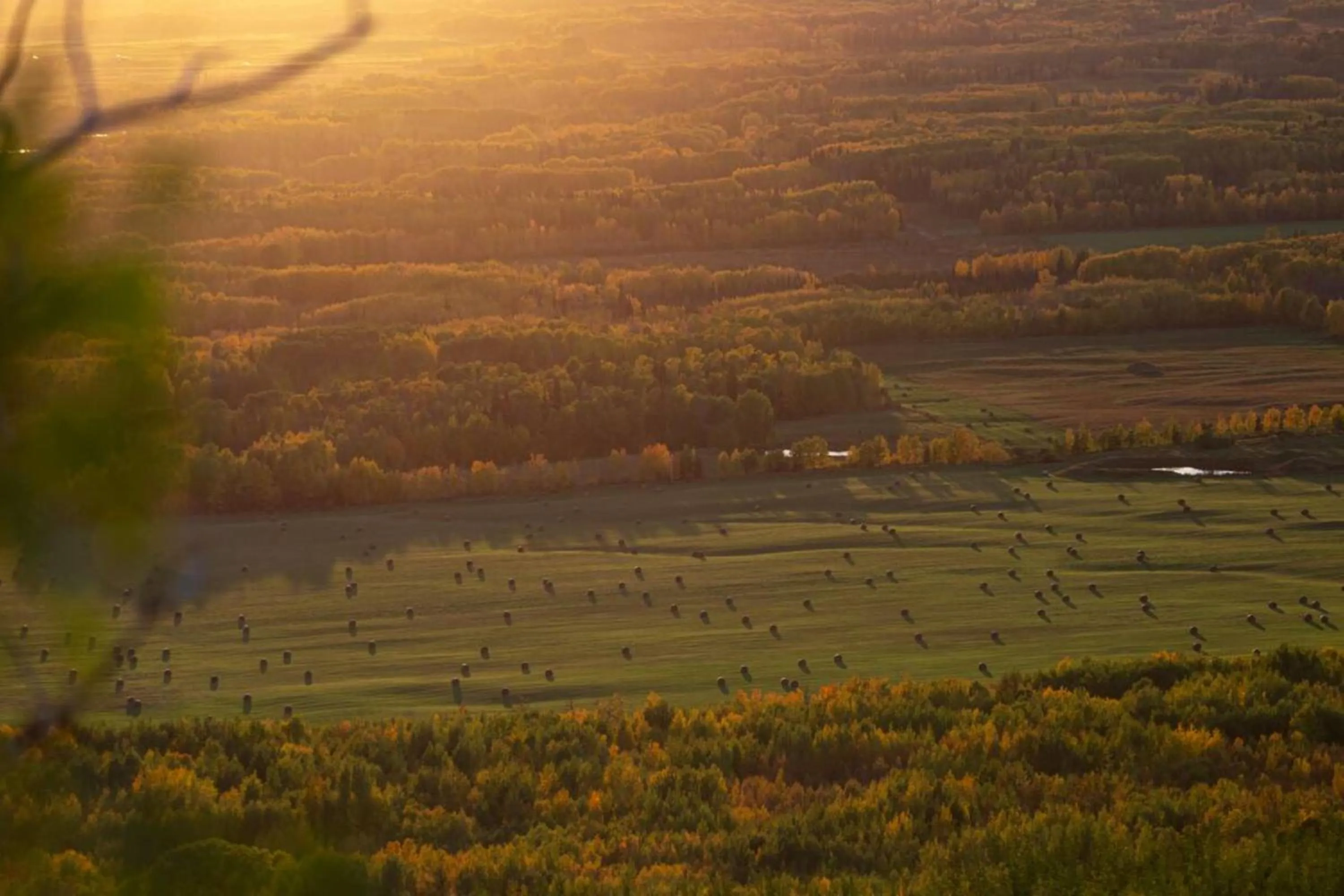 Nearby landmark in Staybridge Suites - Dawson Creek by IHG