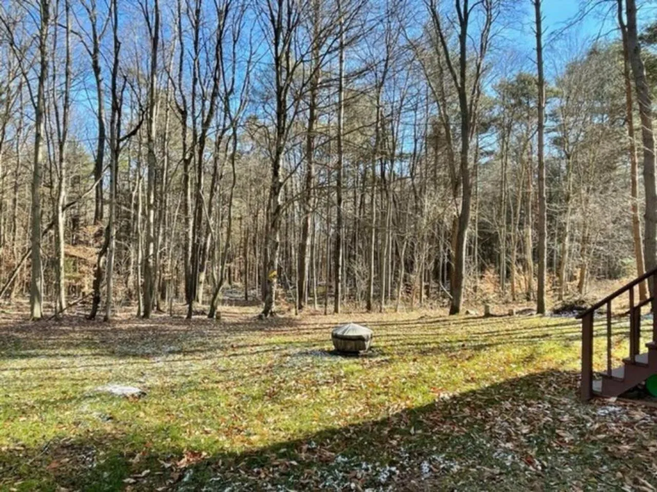 Cozy Cottage near Cook Forest Park, ANF