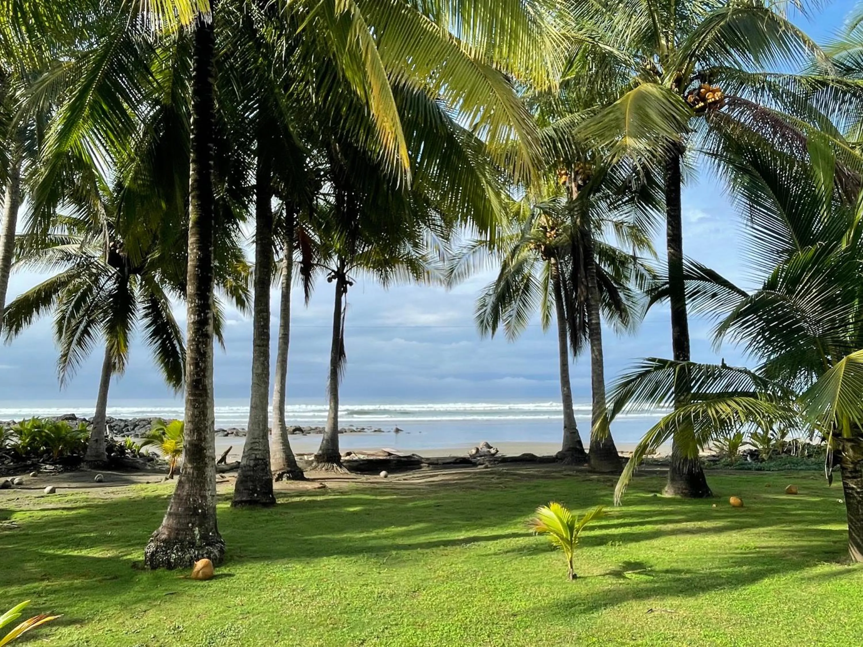 Sea view in Salvatierra Beachfront Hotel