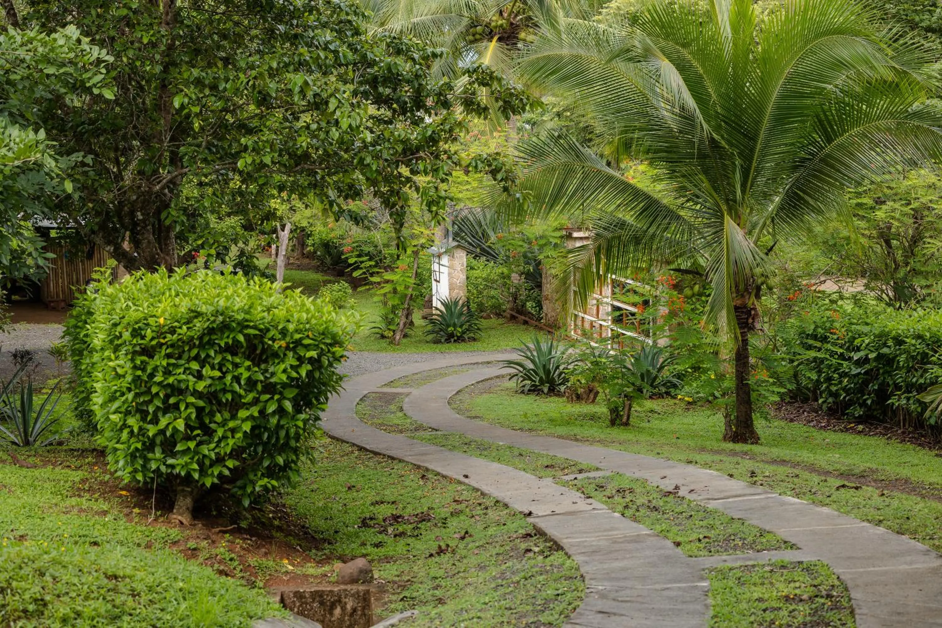 Natural landscape in Salvatierra Beachfront Hotel