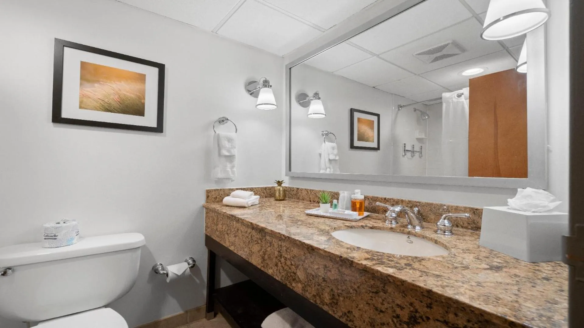 315 LoSo Hotel Airport