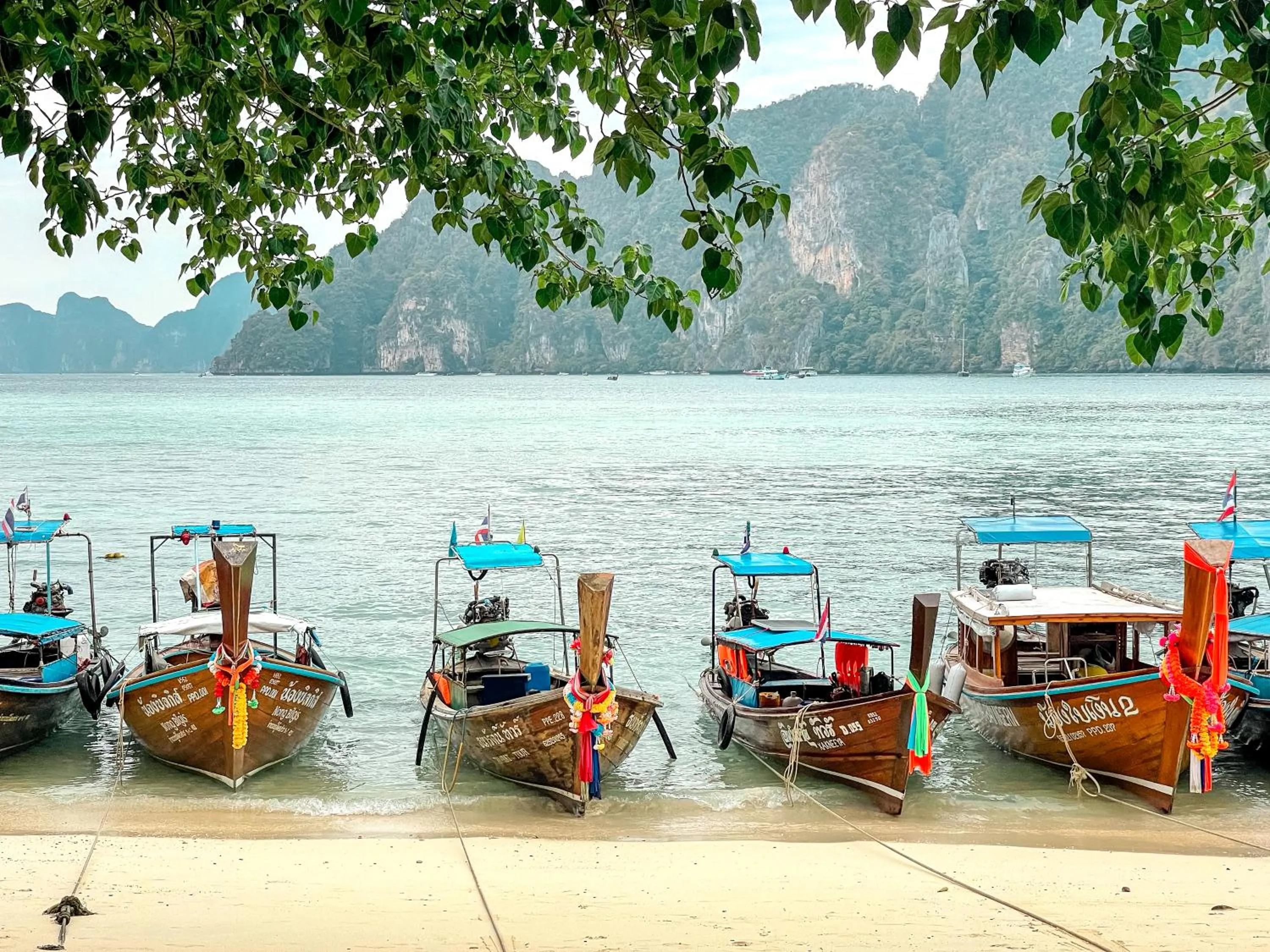 Nearby landmark in Bodega Koh Phi Phi