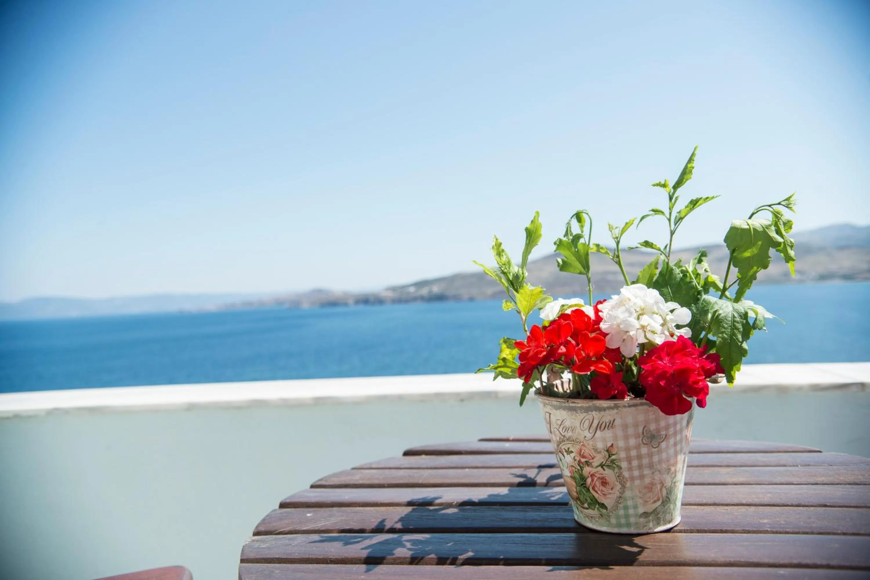 Balcony/Terrace in Clara Resort