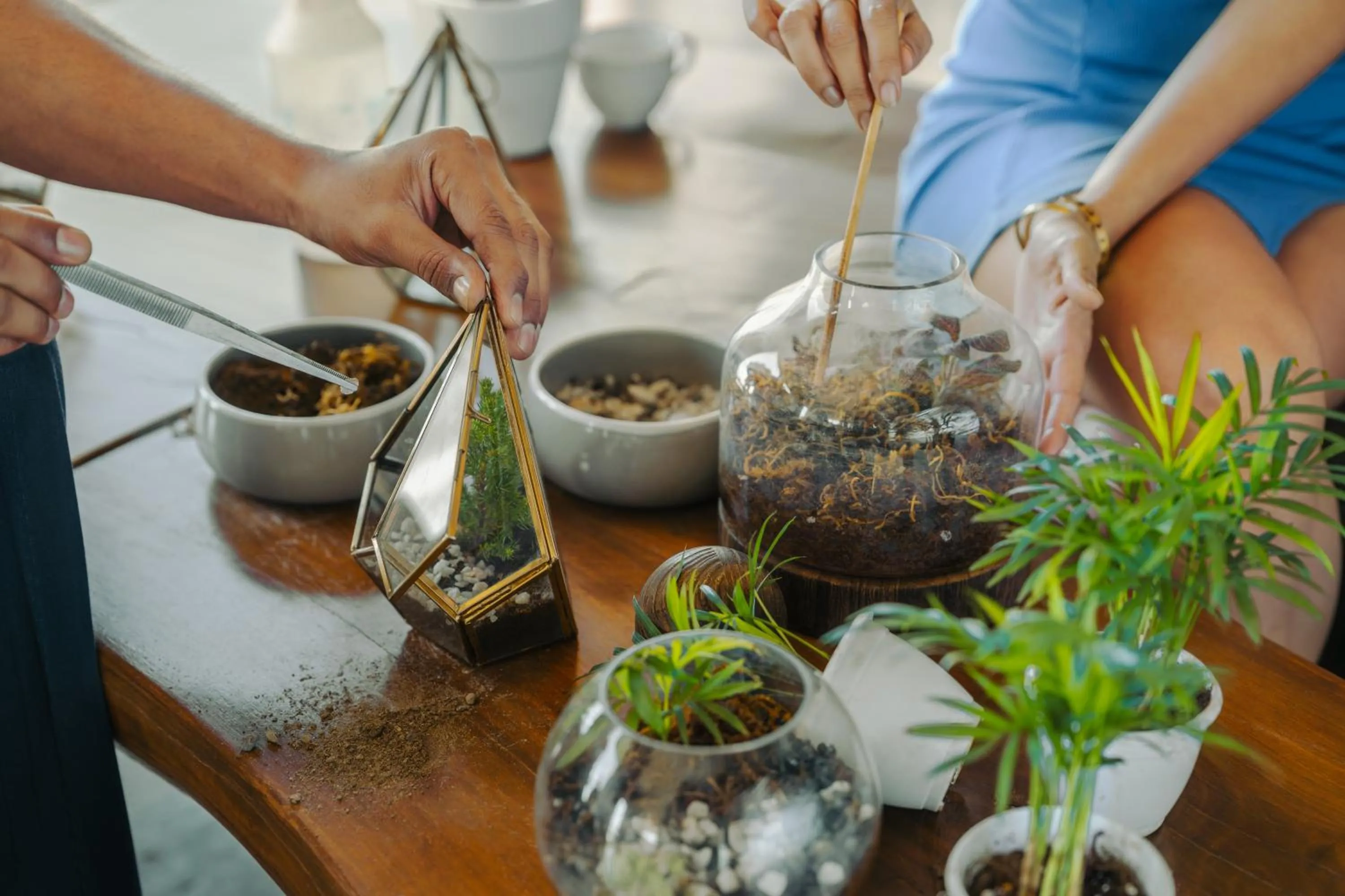 Activities in The Westin Resort & Spa Himalayas