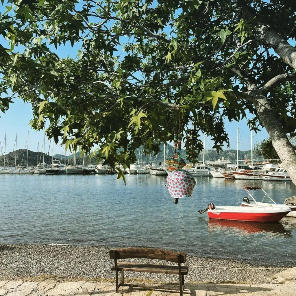 Nearby landmark in Base Selimiye