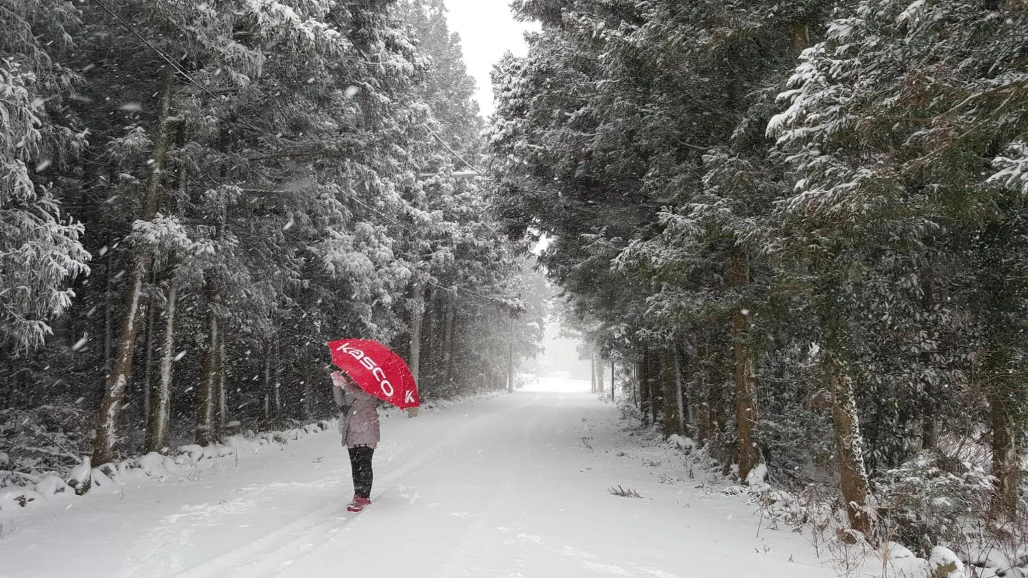 Gyorae Drive-in Motel