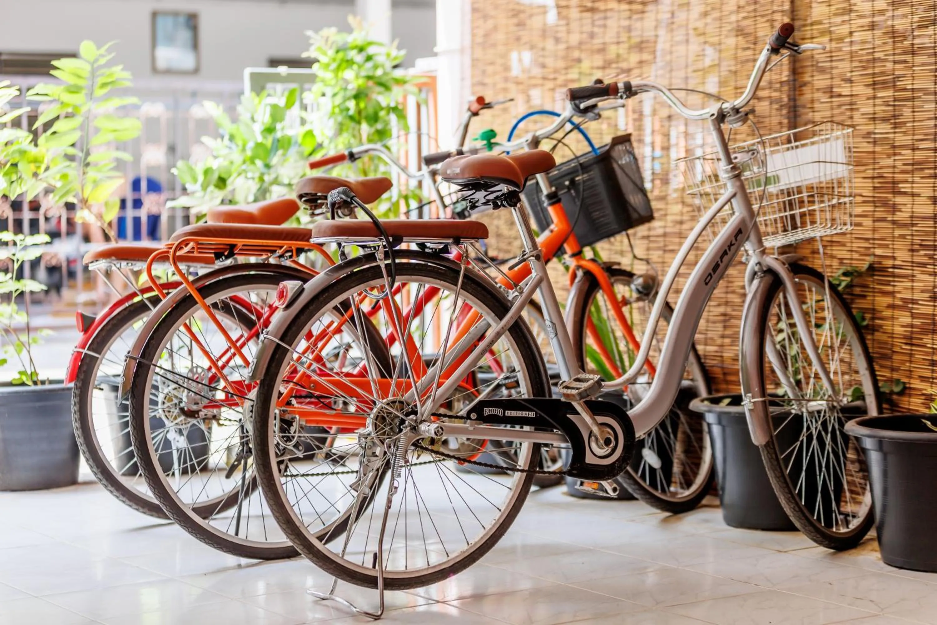 Cycling in Baan Mee Suk Ayutthaya